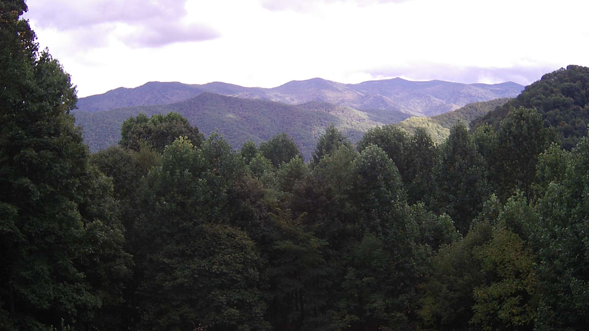 click for next image... slideshow image