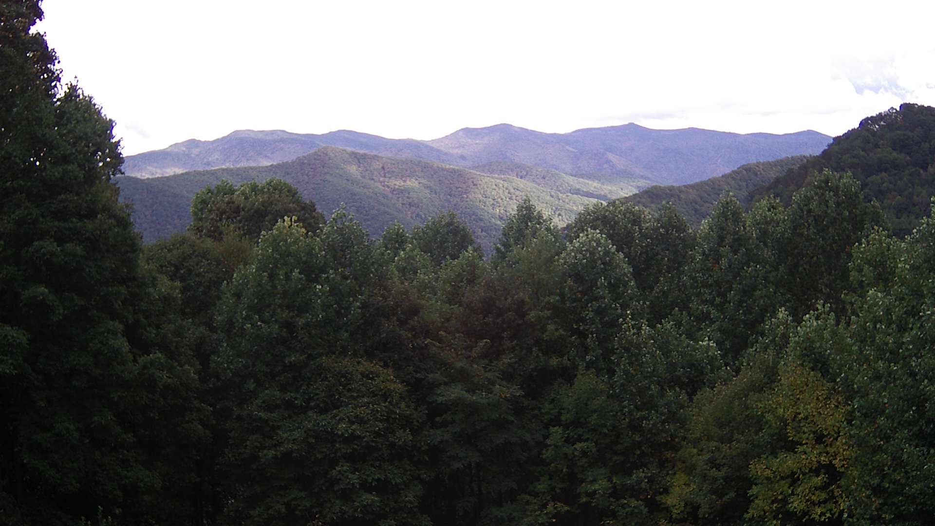 click for next image... slideshow image