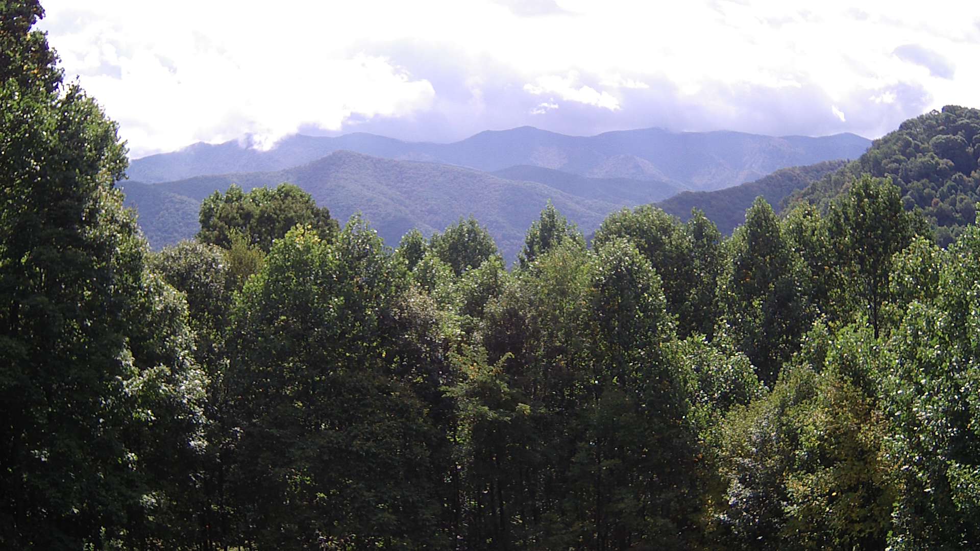 click for next image... slideshow image