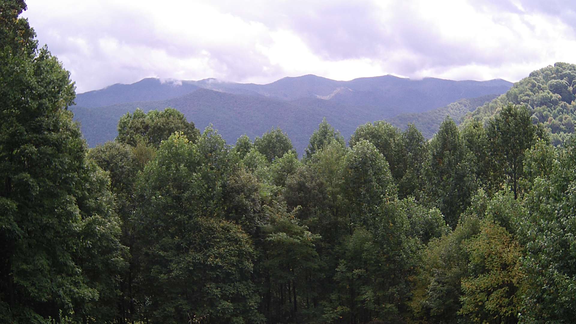 click for next image... slideshow image