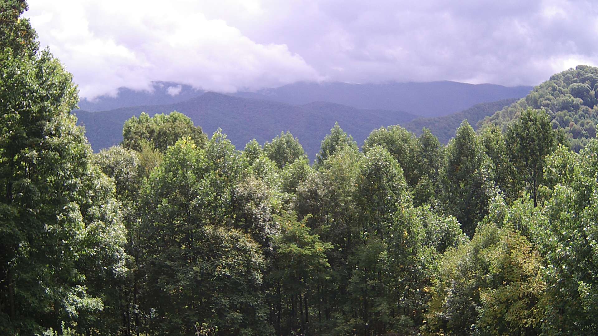 click for next image... slideshow image