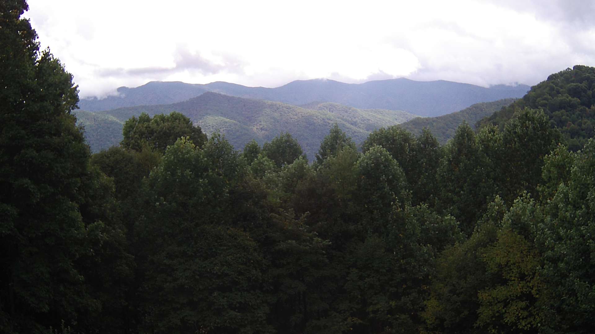 click for next image... slideshow image