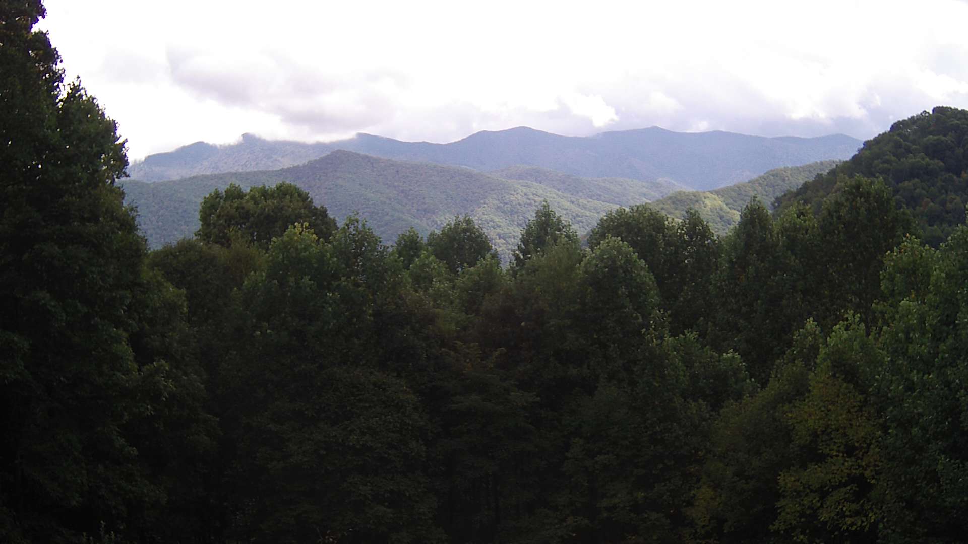 click for next image... slideshow image