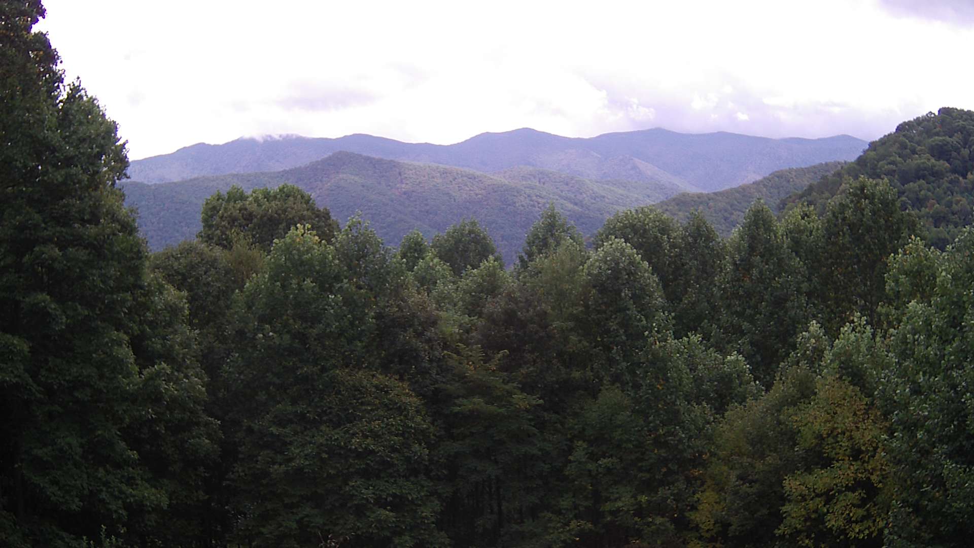 click for next image... slideshow image