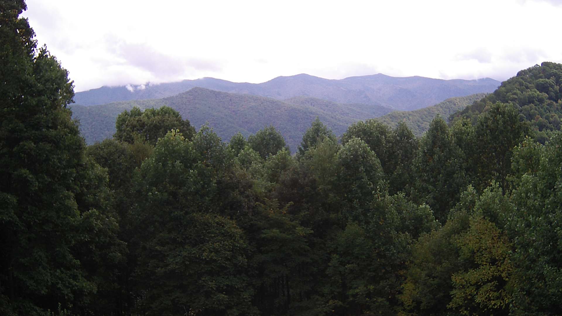 click for next image... slideshow image