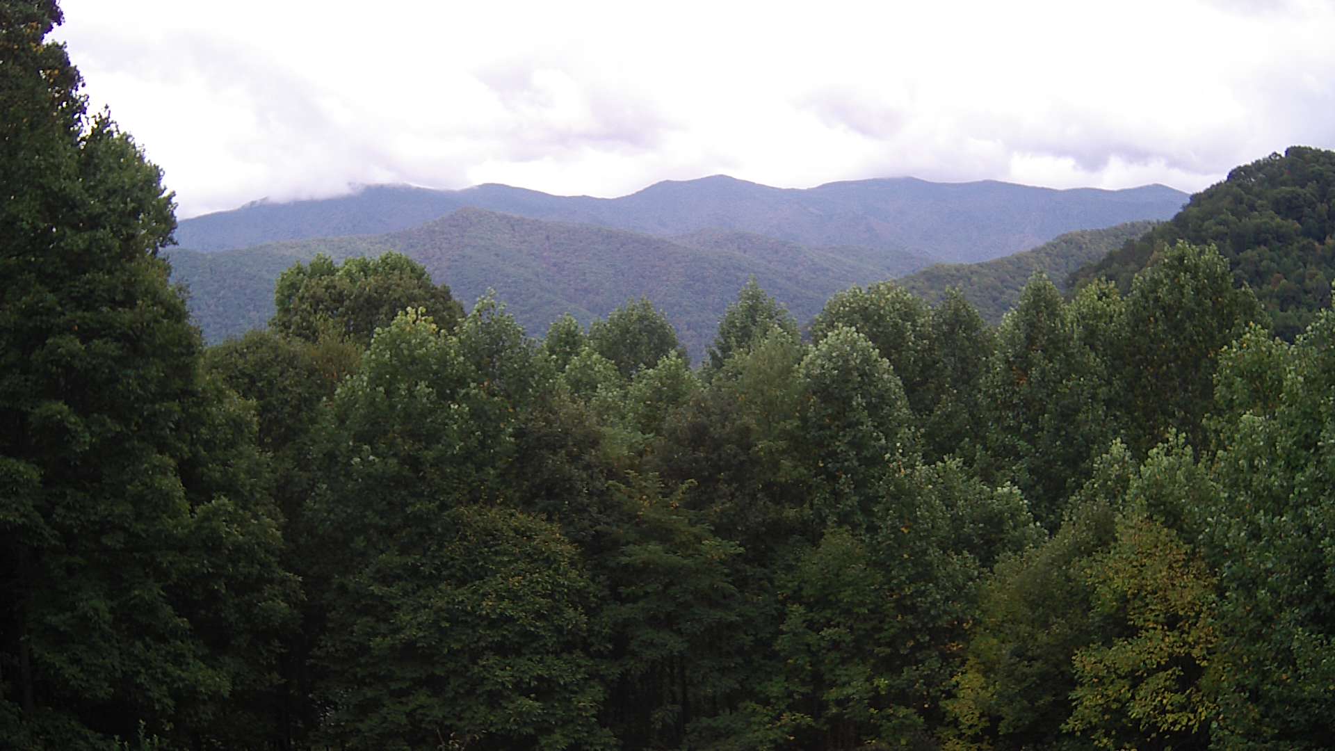 click for next image... slideshow image