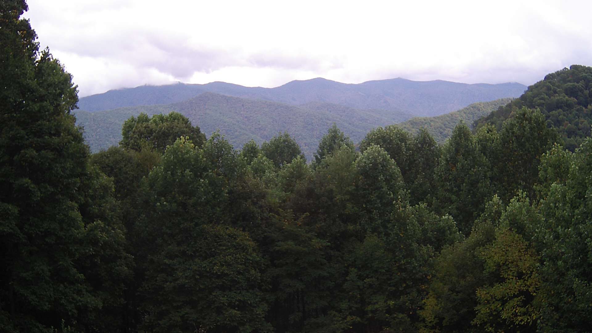 click for next image... slideshow image