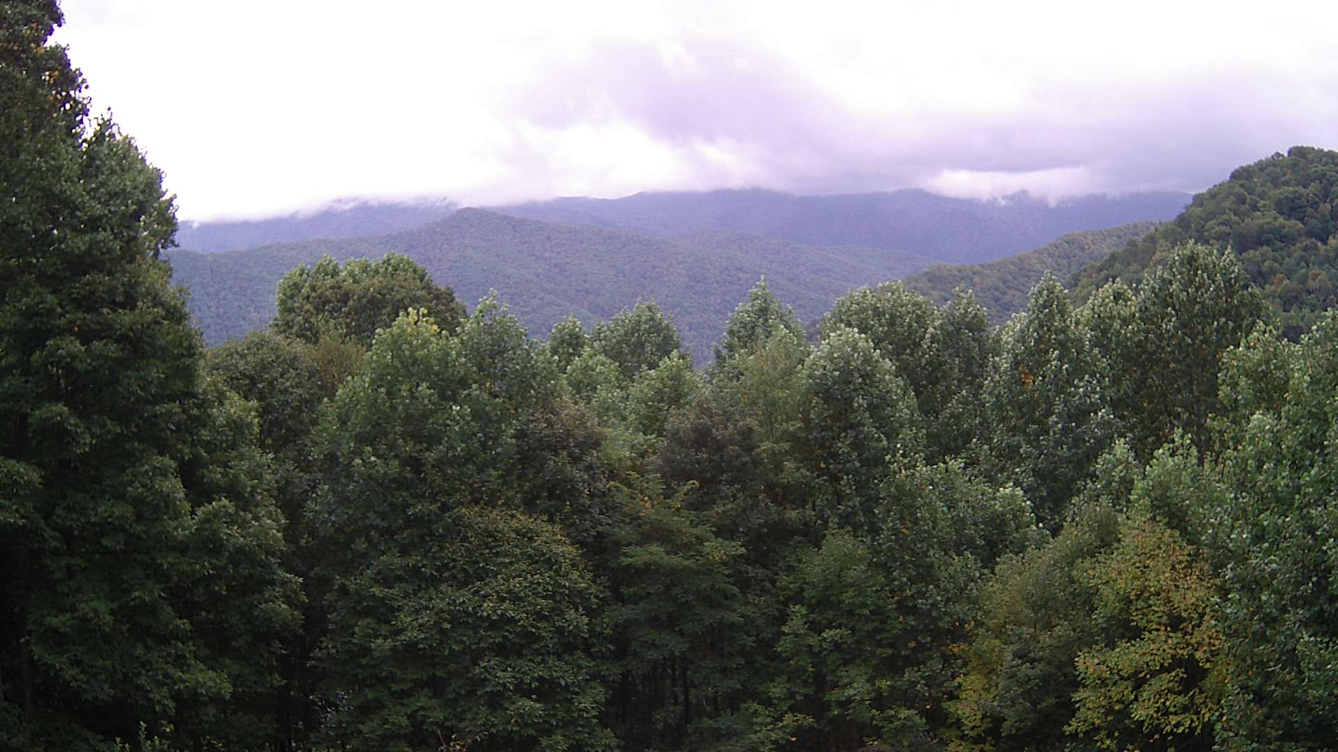 click for next image... slideshow image