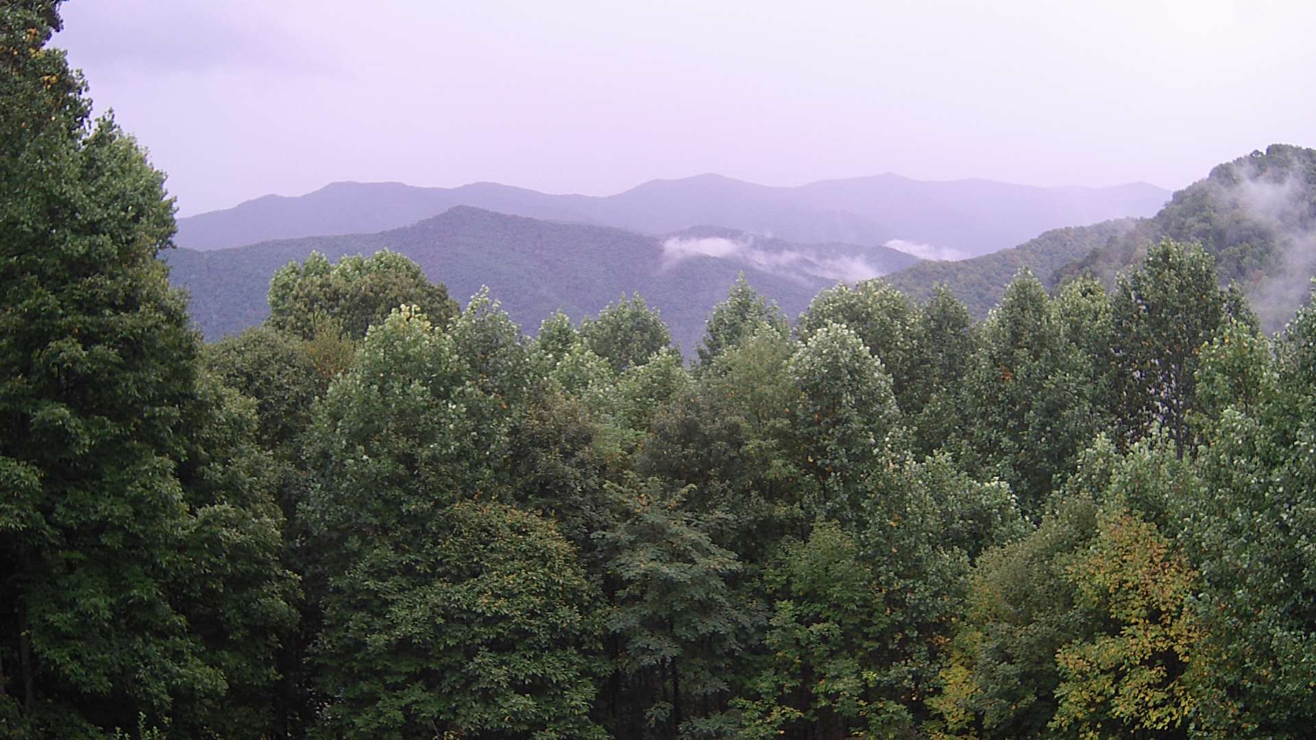 click for next image... slideshow image