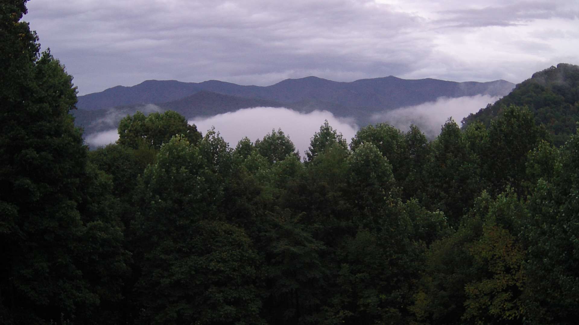 click for next image... slideshow image