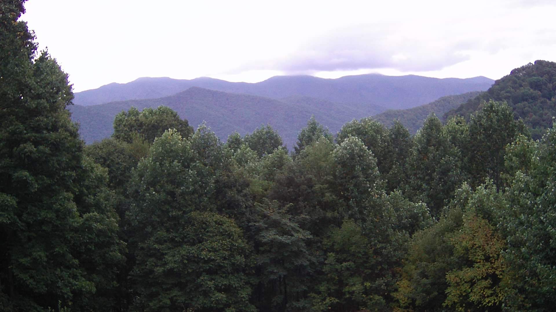 click for next image... slideshow image