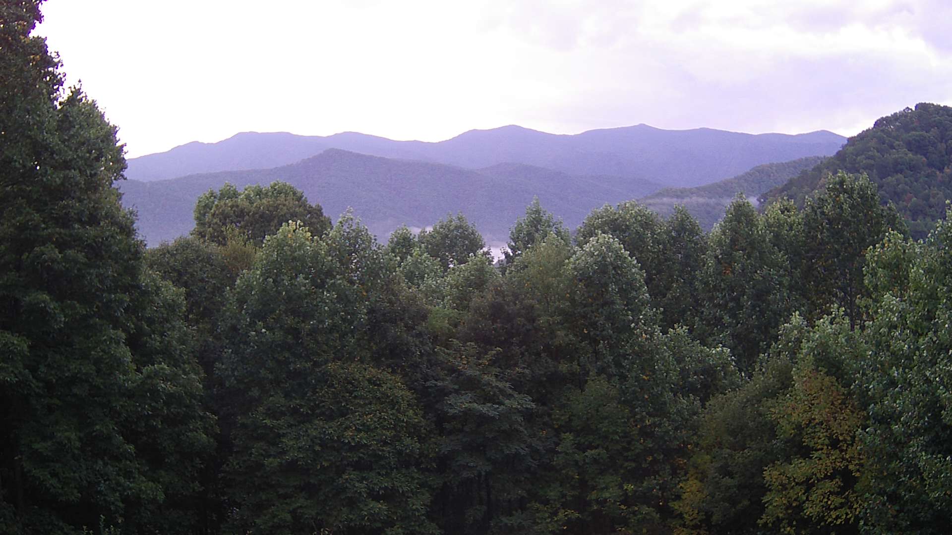 click for next image... slideshow image