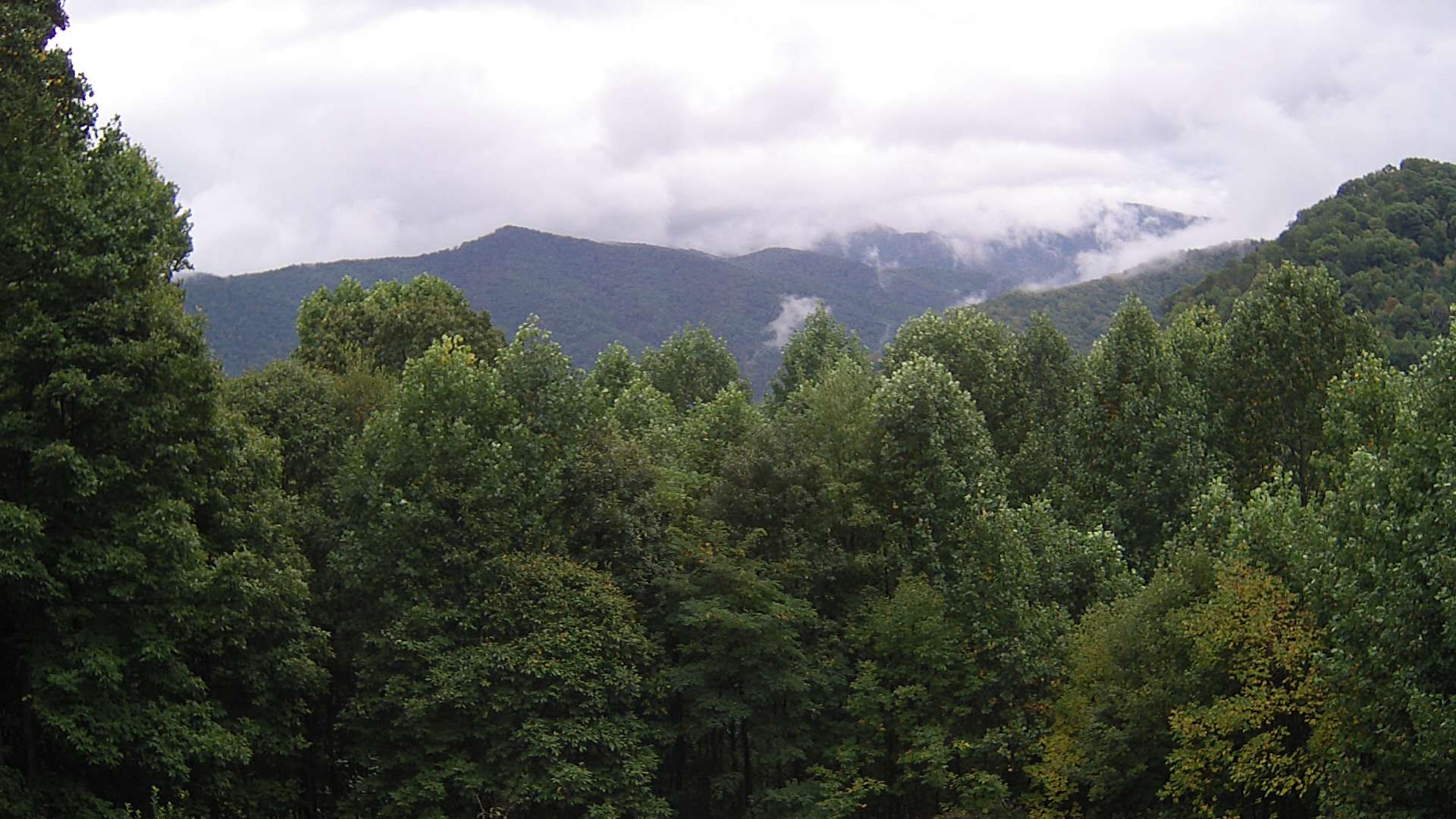 click for next image... slideshow image