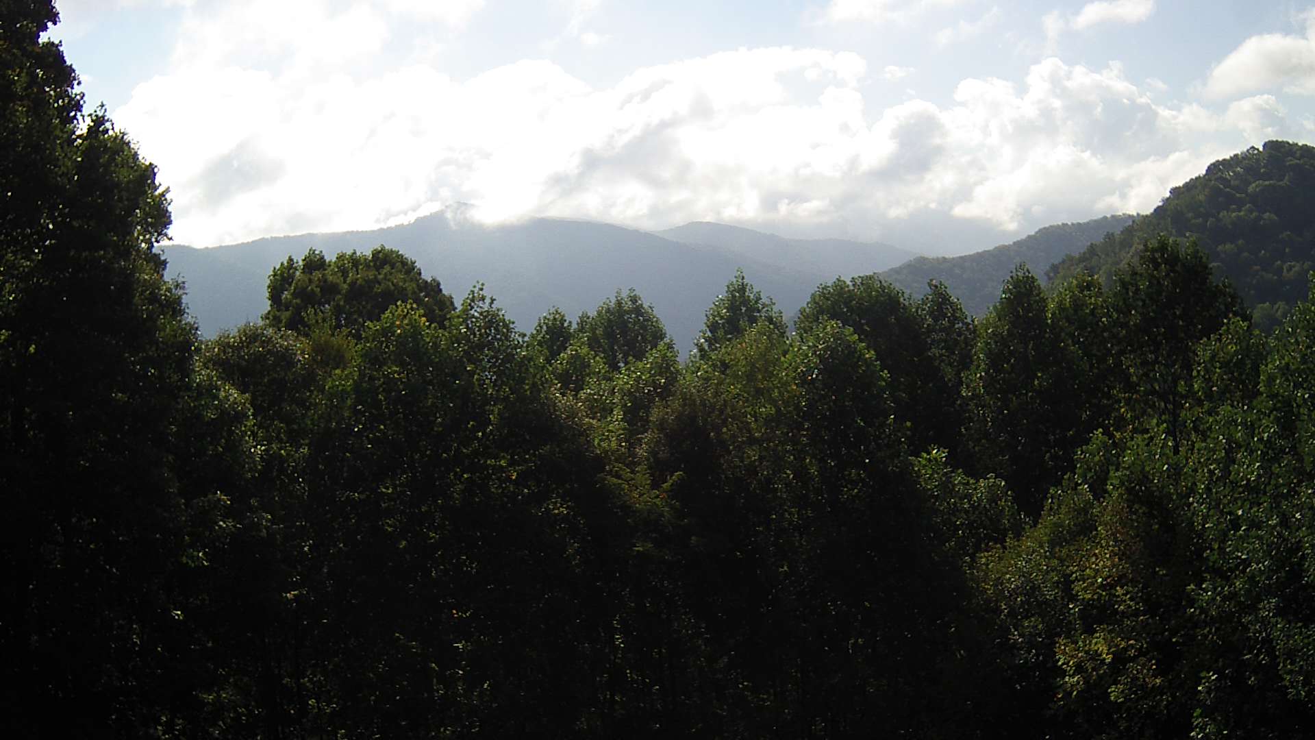 click for next image... slideshow image