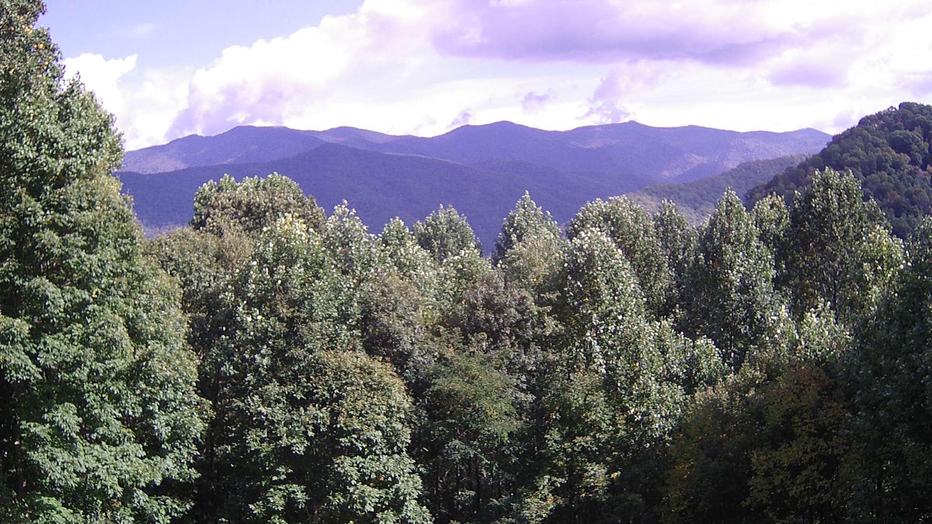 click for next image... slideshow image