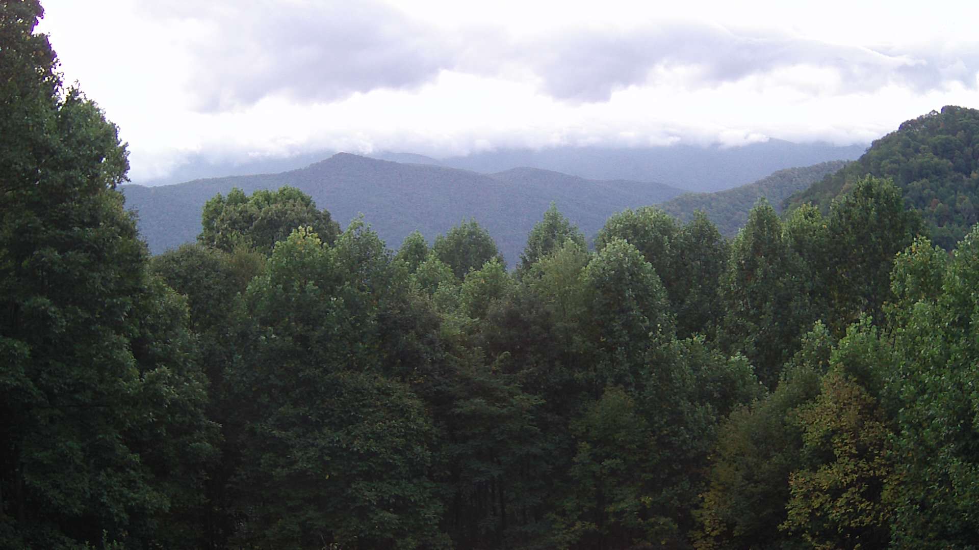 click for next image... slideshow image