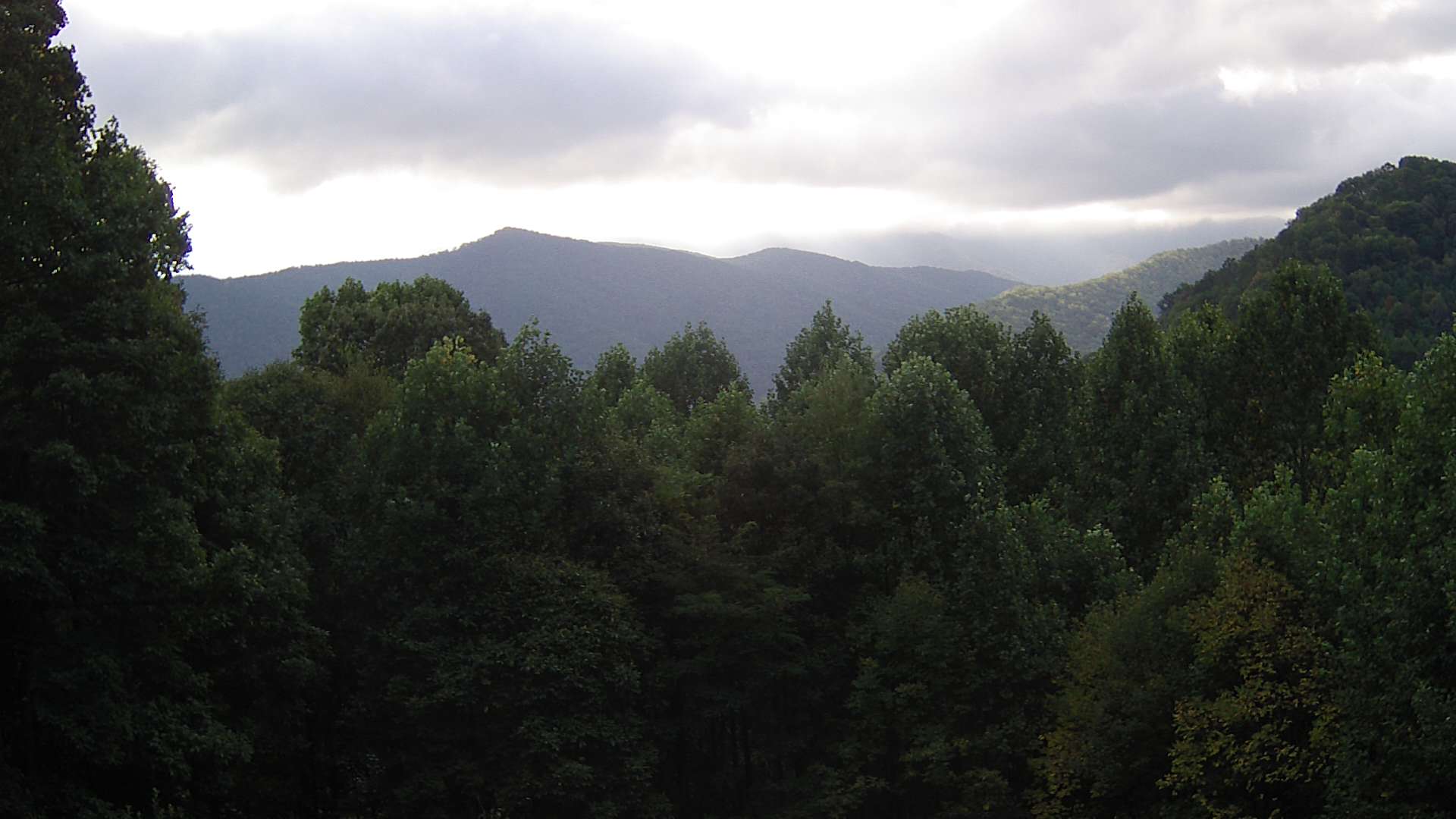 click for next image... slideshow image