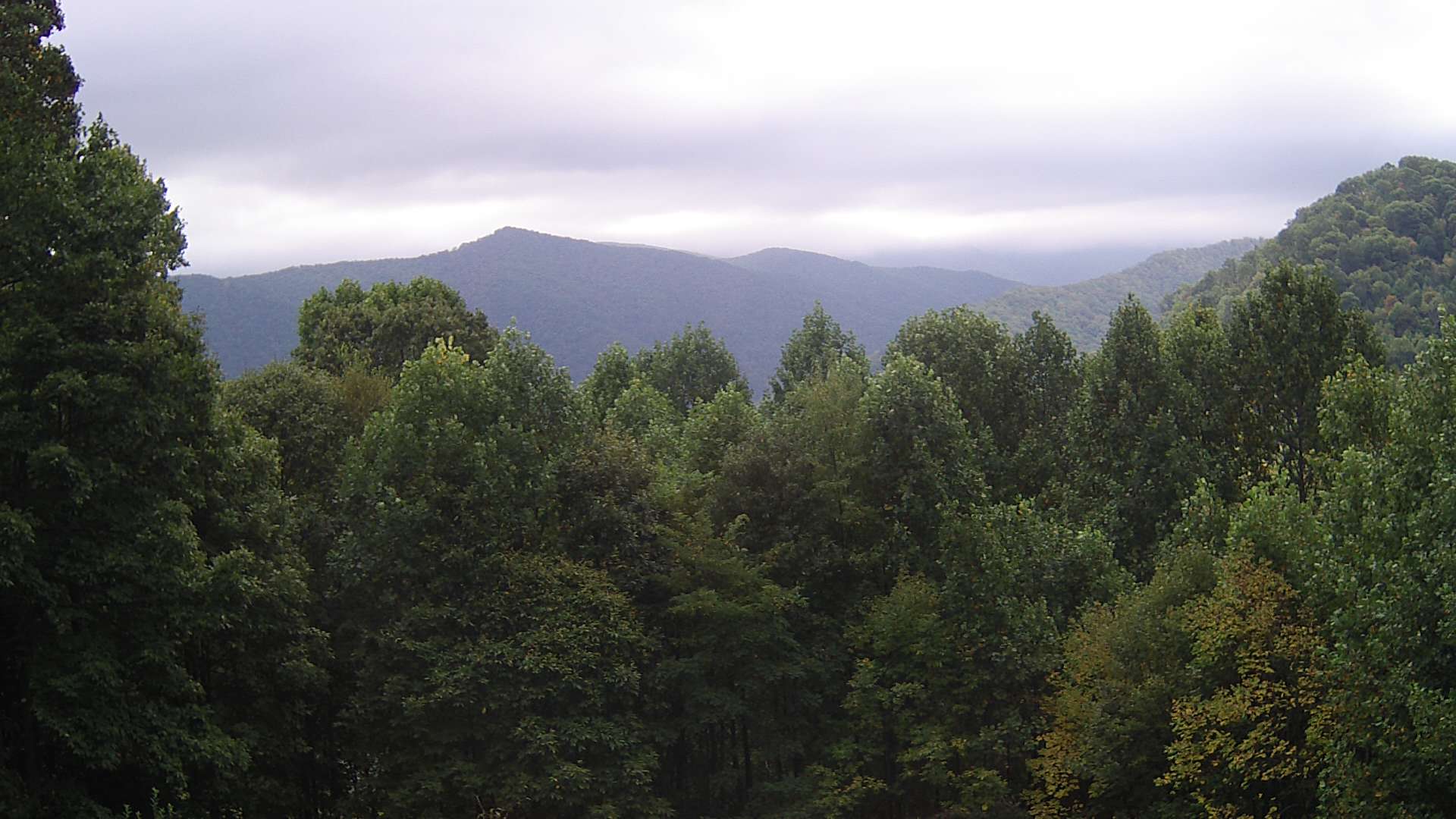 click for next image... slideshow image