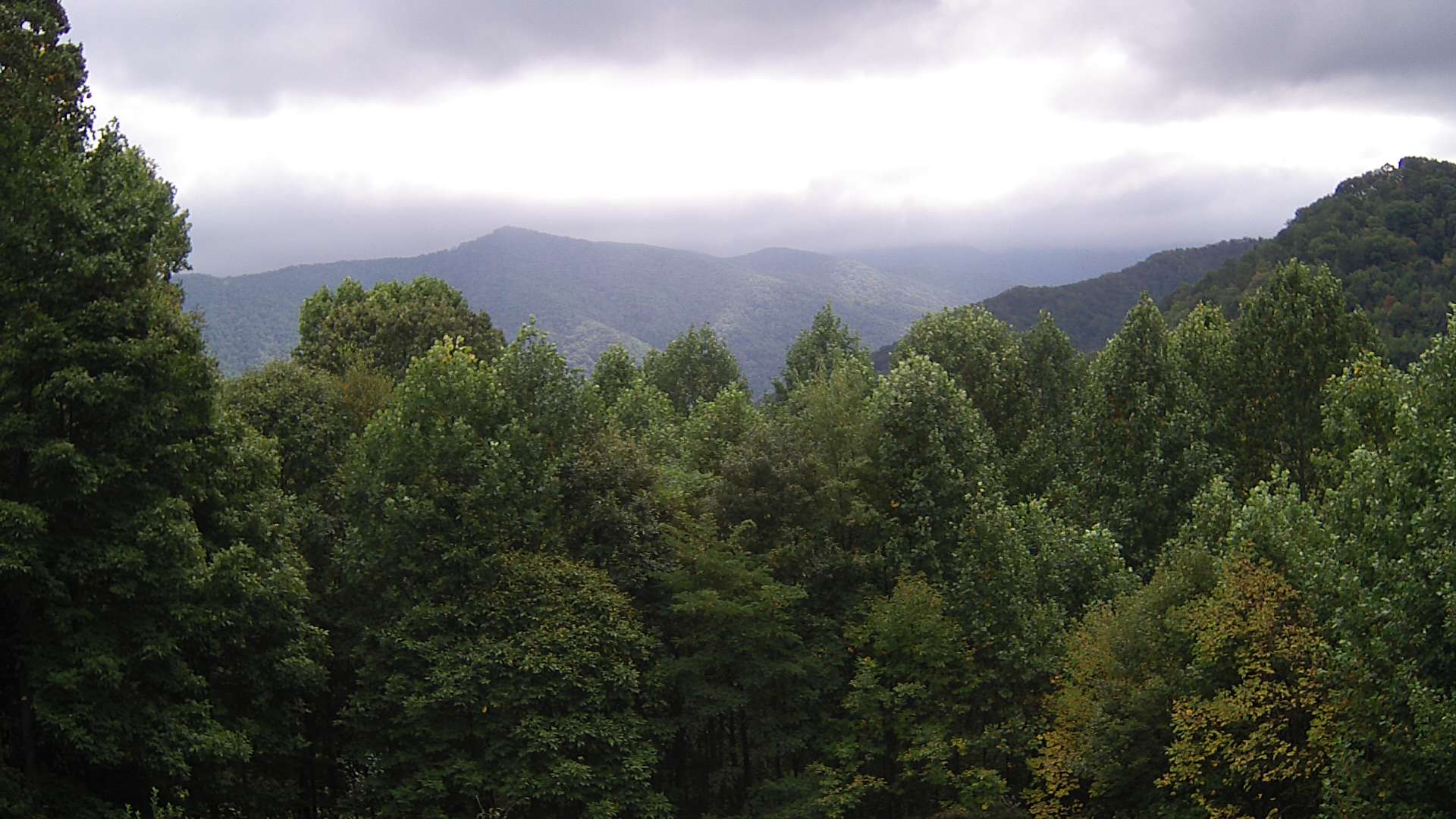 click for next image... slideshow image