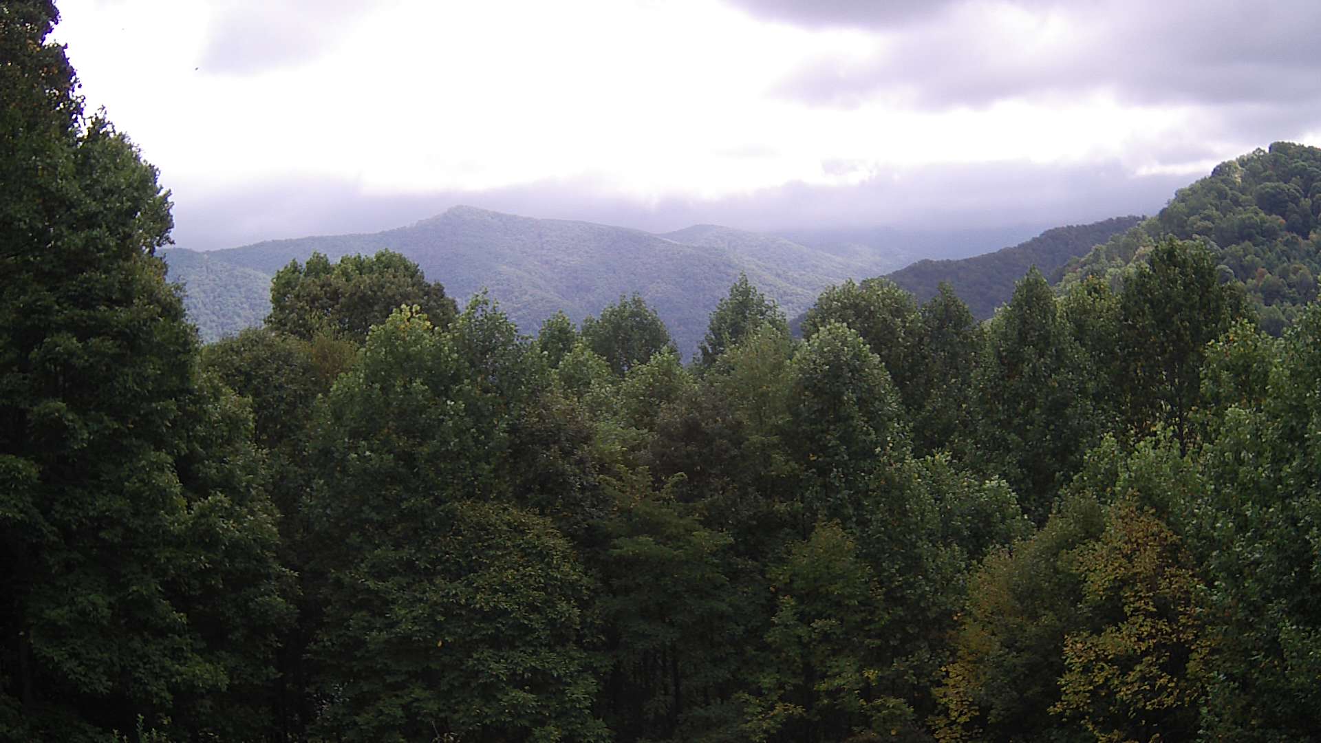 click for next image... slideshow image