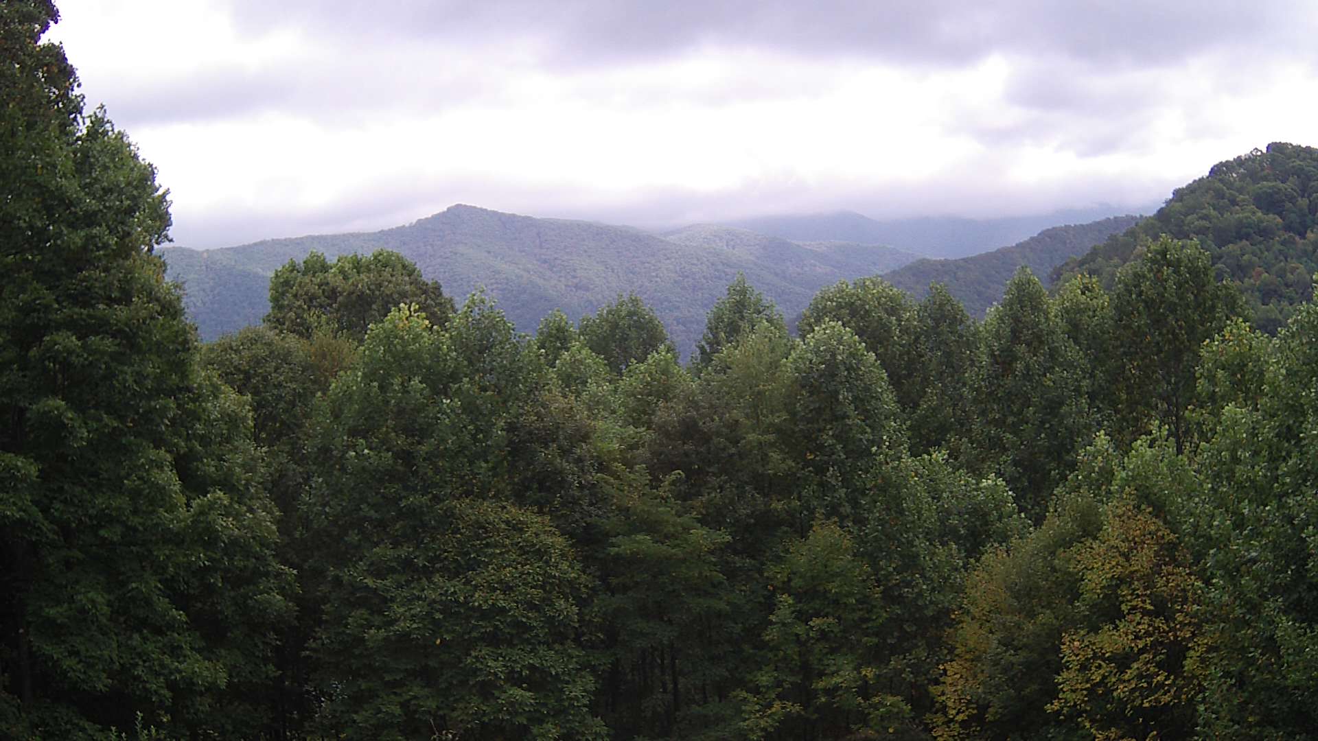 click for next image... slideshow image