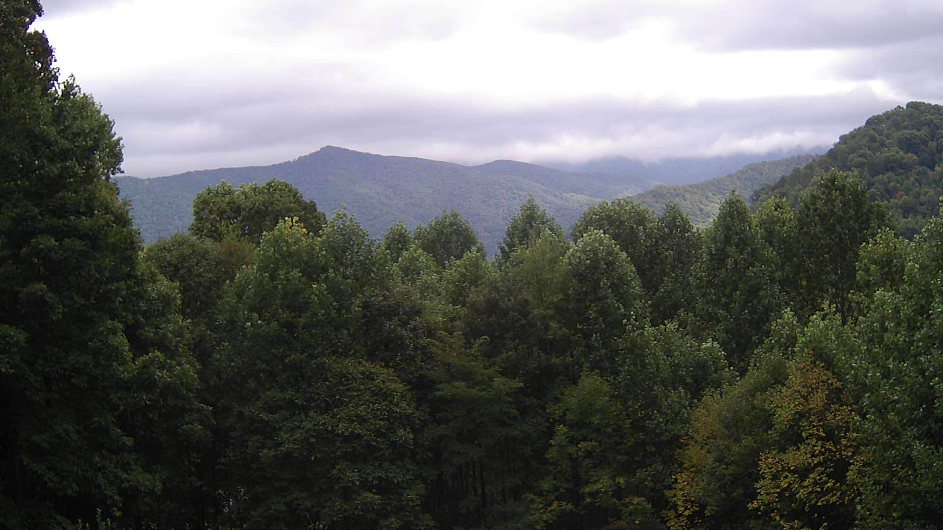 click for next image... slideshow image