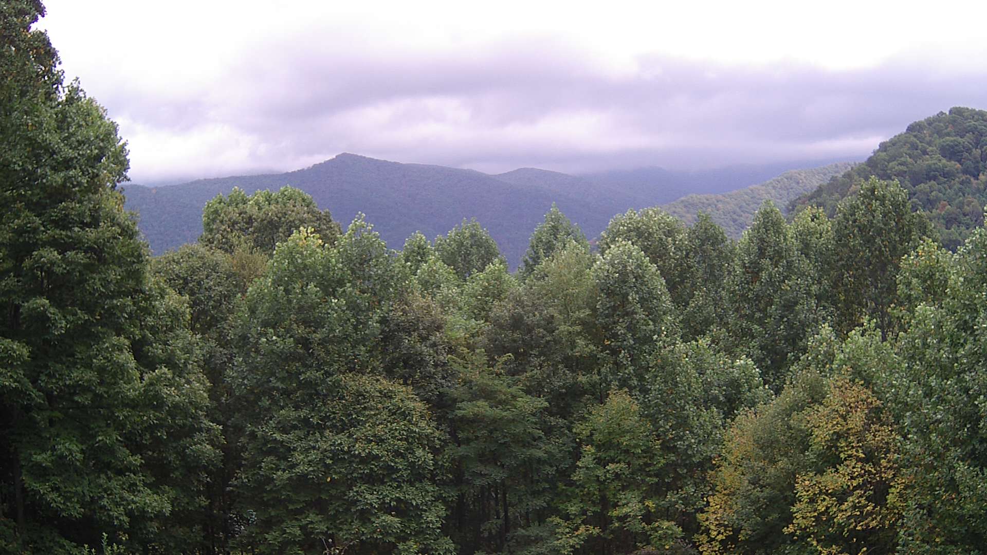 click for next image... slideshow image