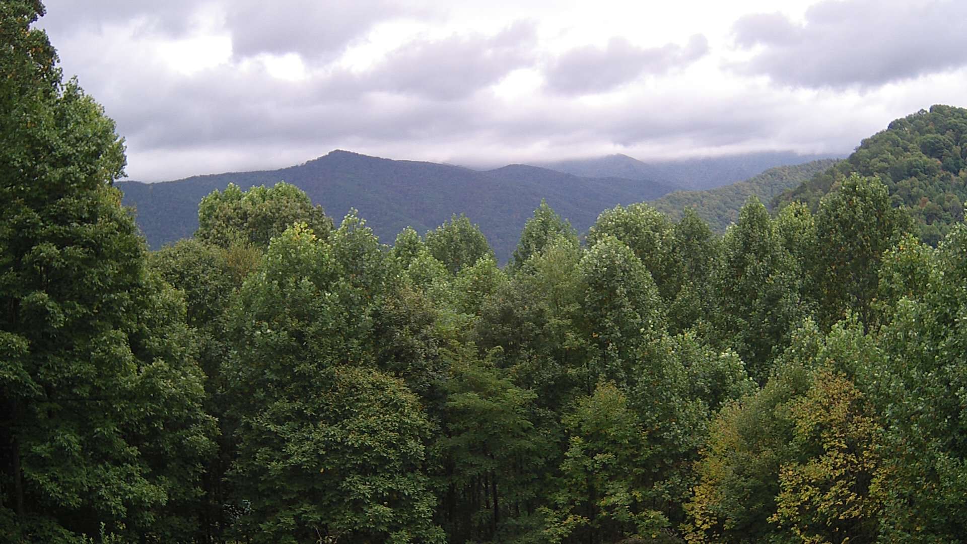 click for next image... slideshow image