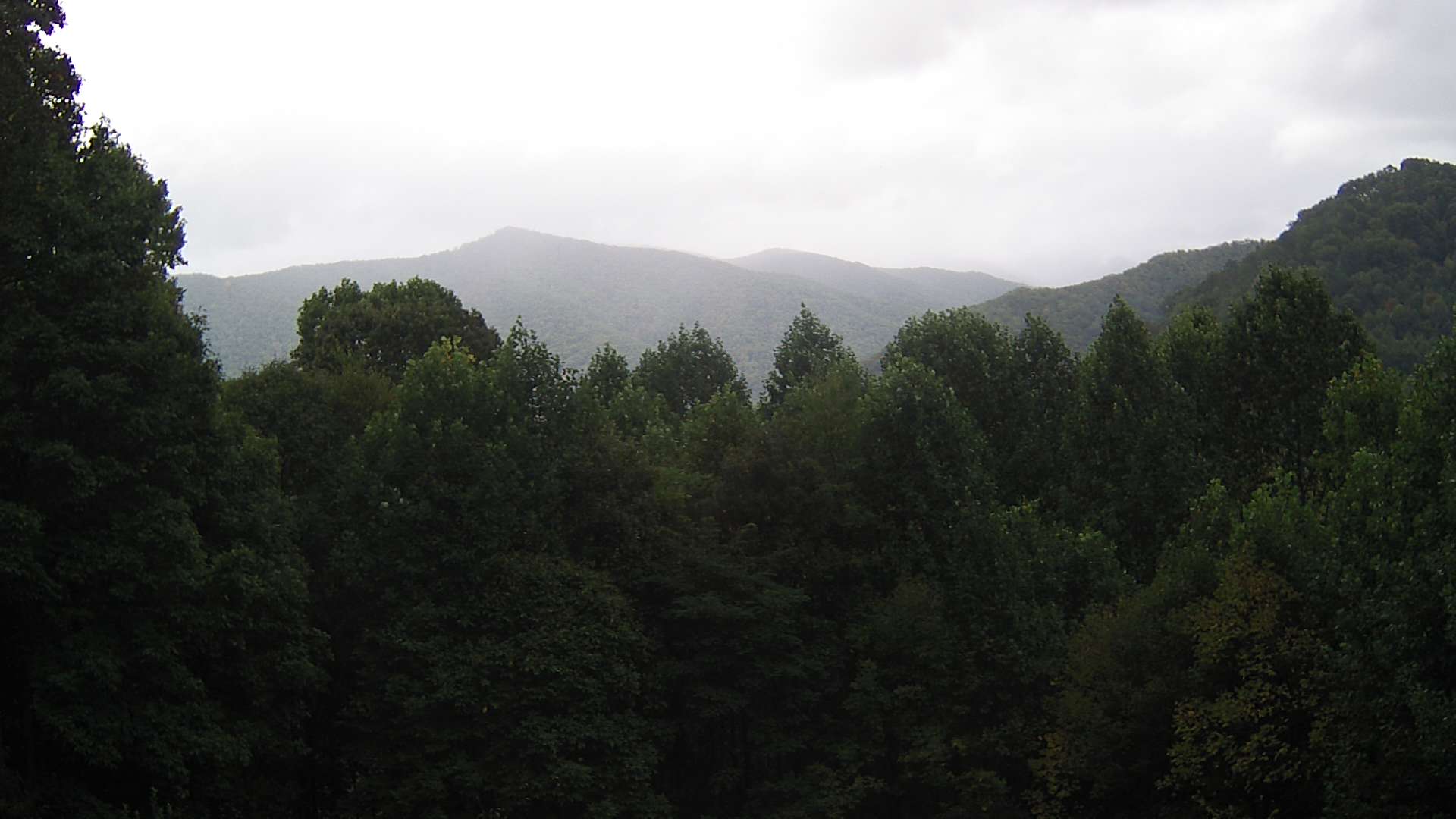 click for next image... slideshow image