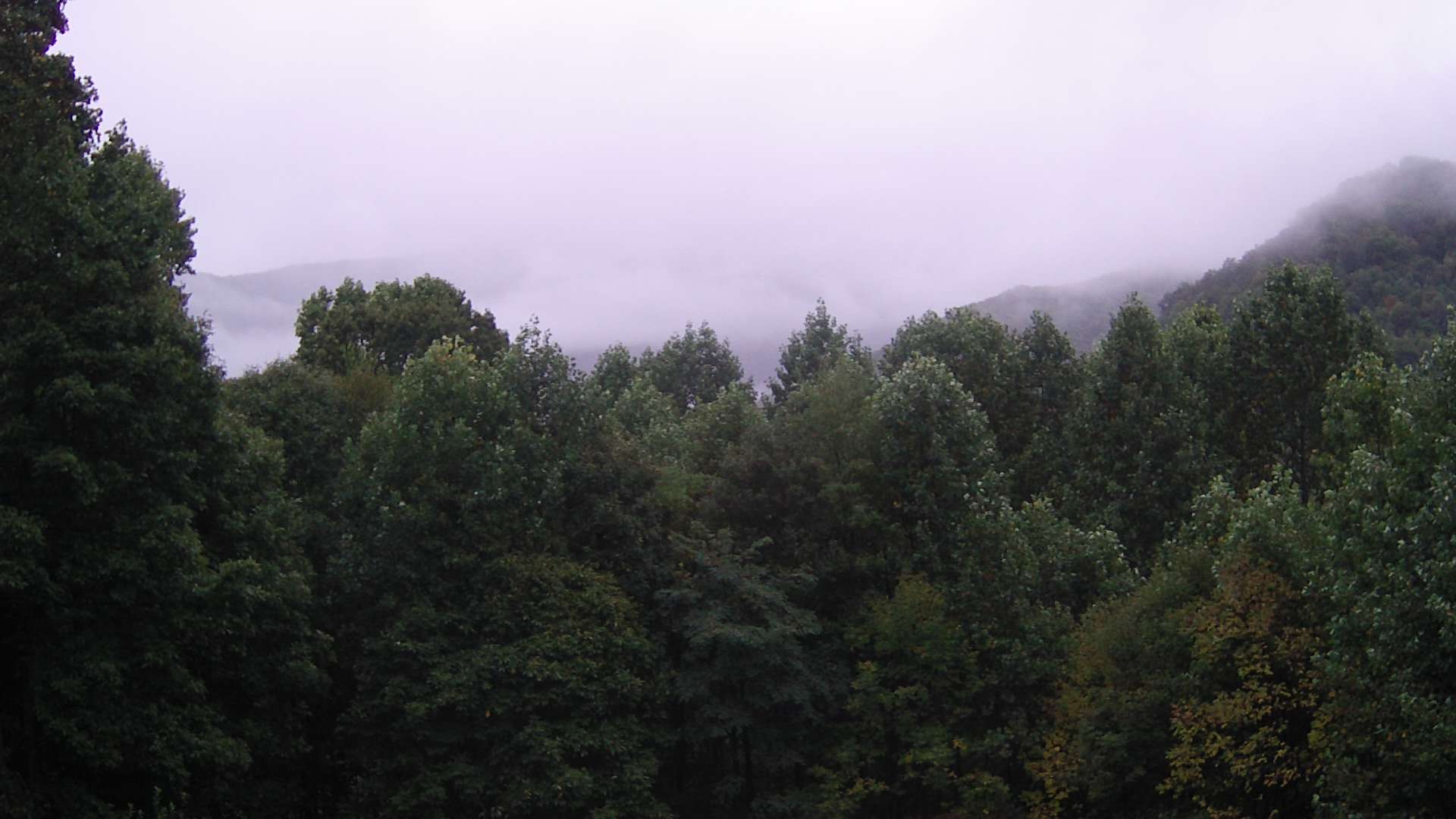 click for next image... slideshow image