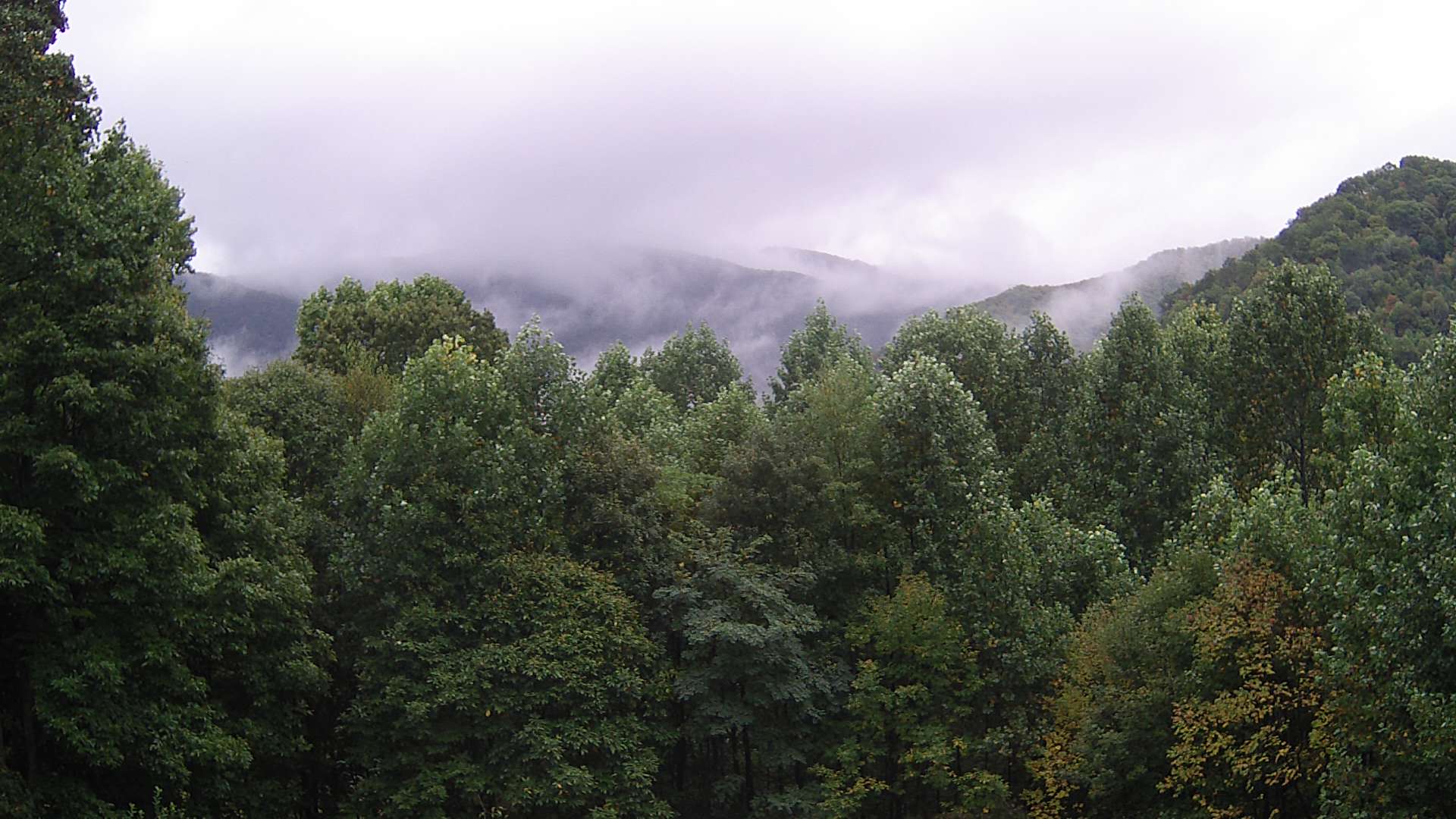 click for next image... slideshow image