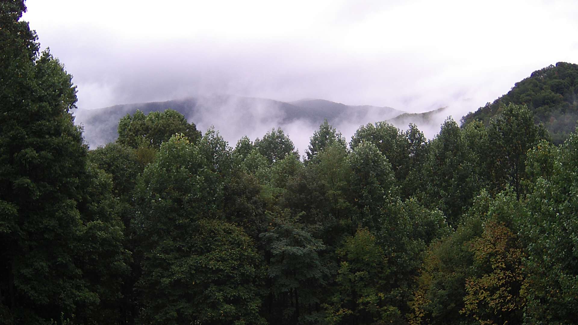 click for next image... slideshow image