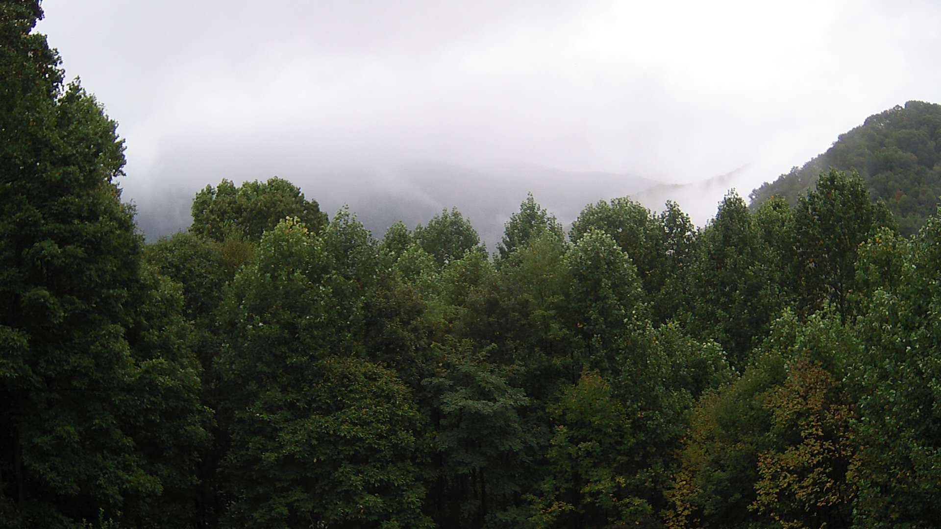 click for next image... slideshow image