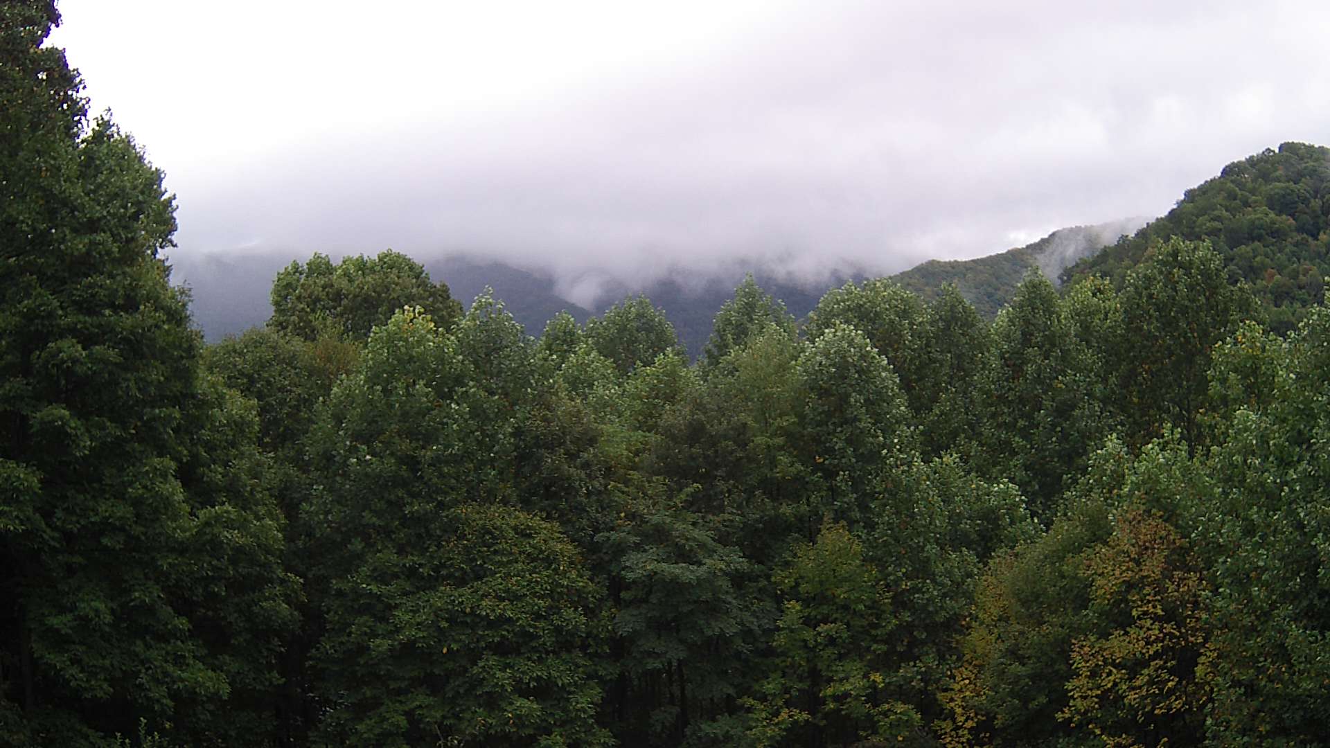 click for next image... slideshow image