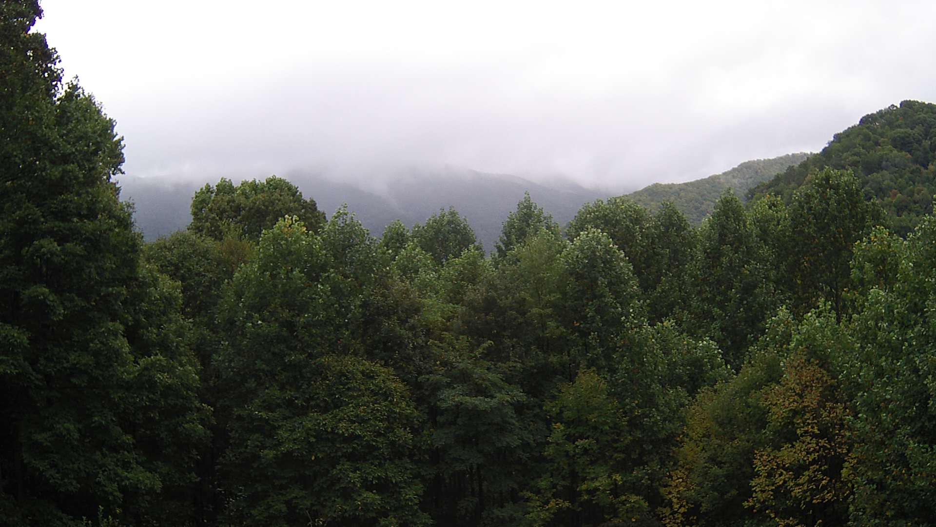 click for next image... slideshow image