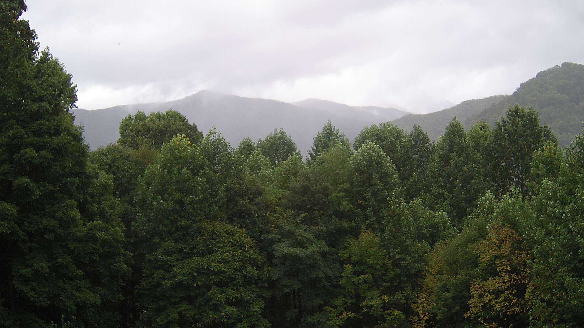 click for next image... slideshow image