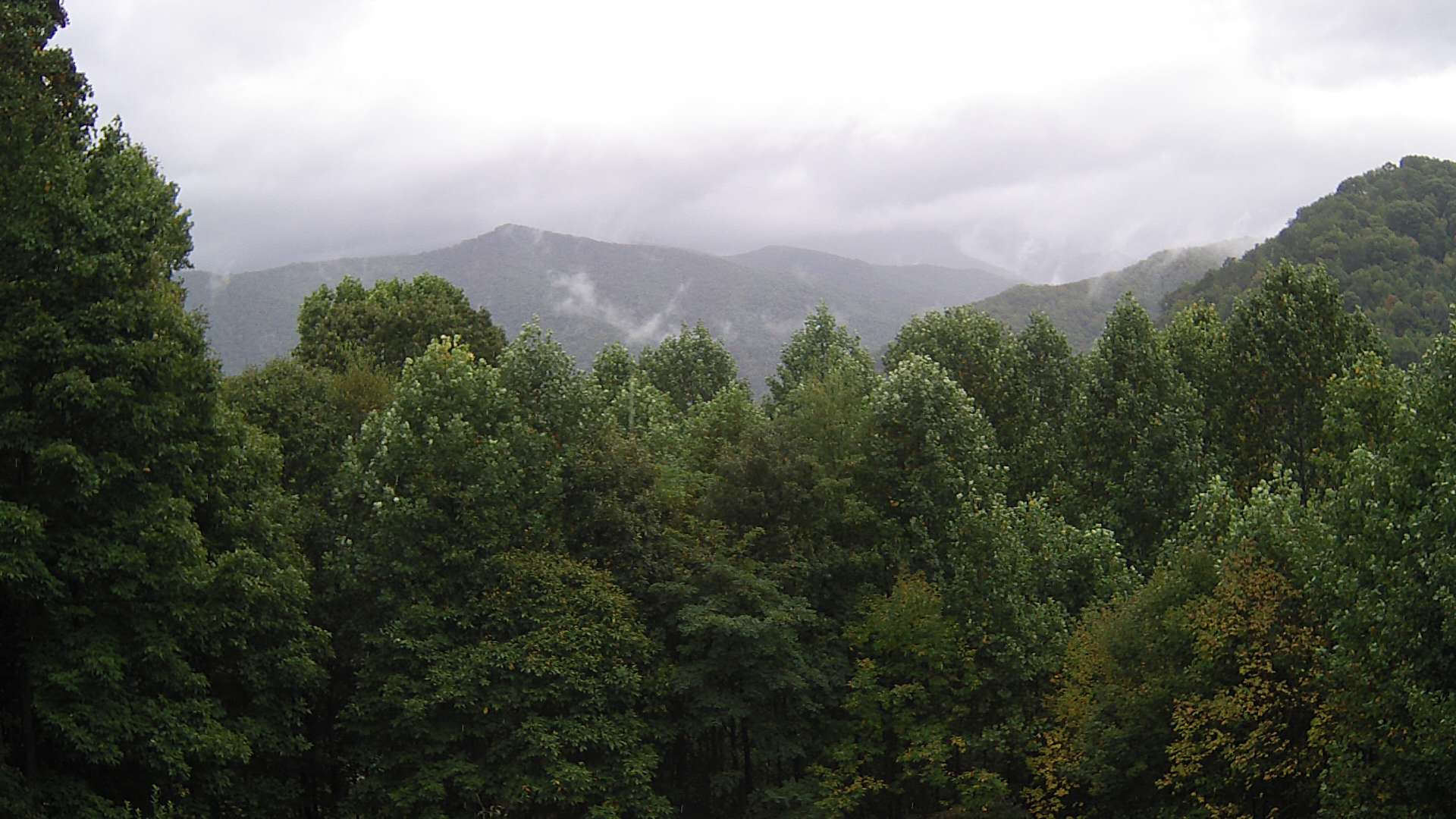 click for next image... slideshow image