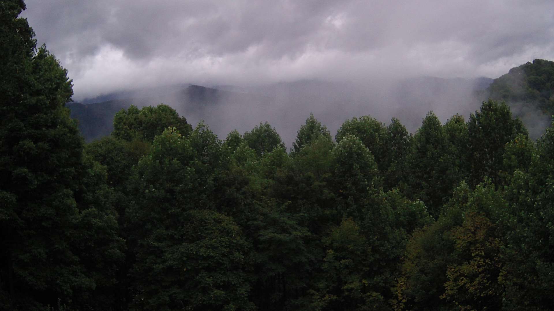 click for next image... slideshow image