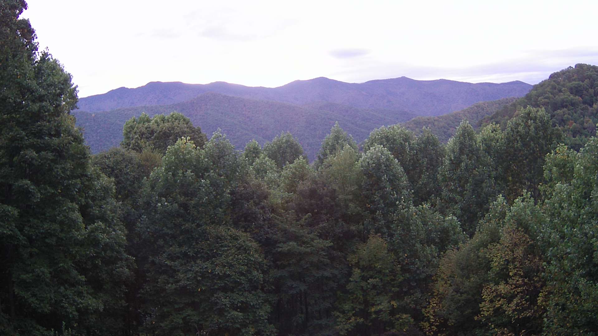 click for next image... slideshow image