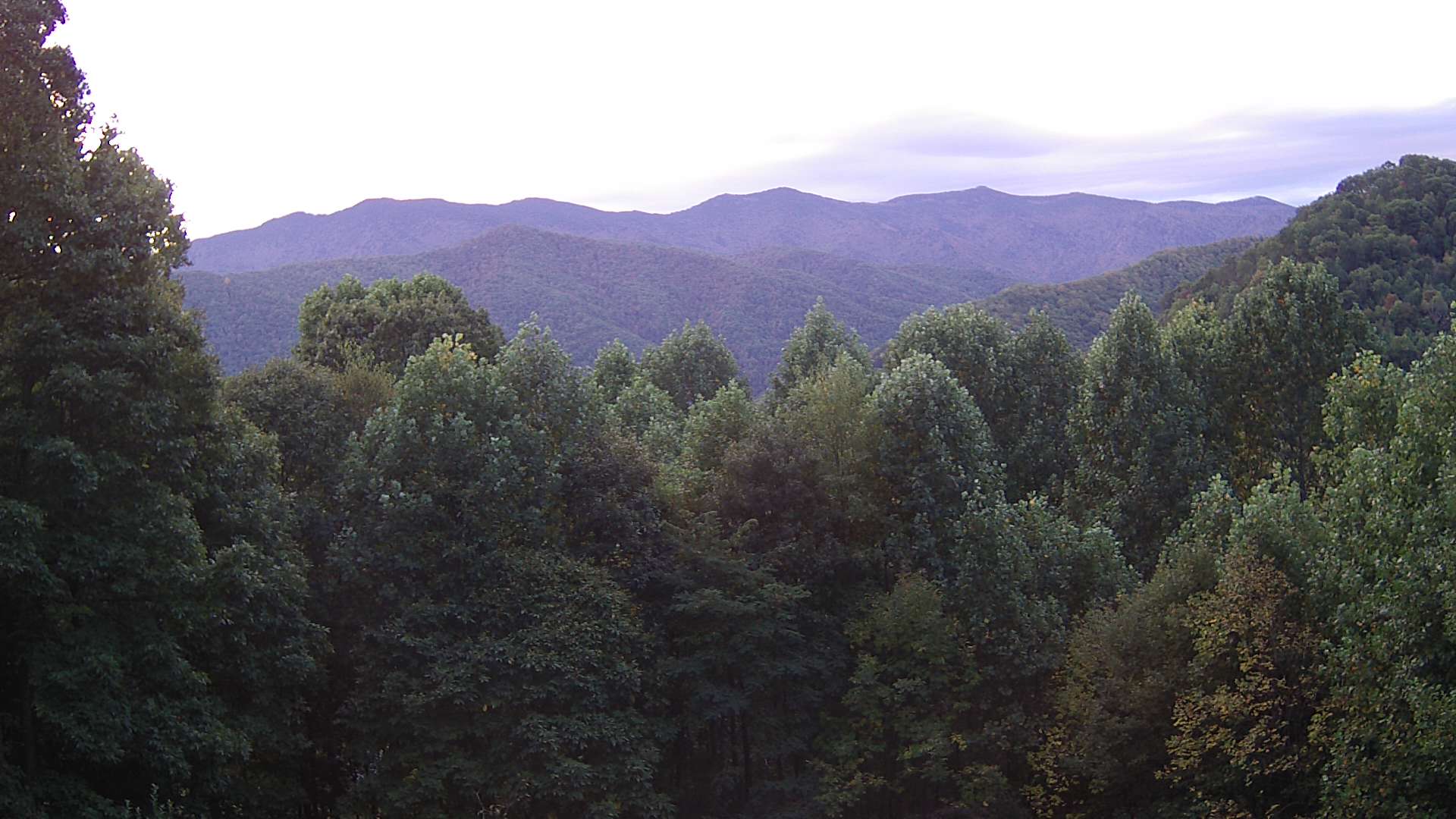 click for next image... slideshow image