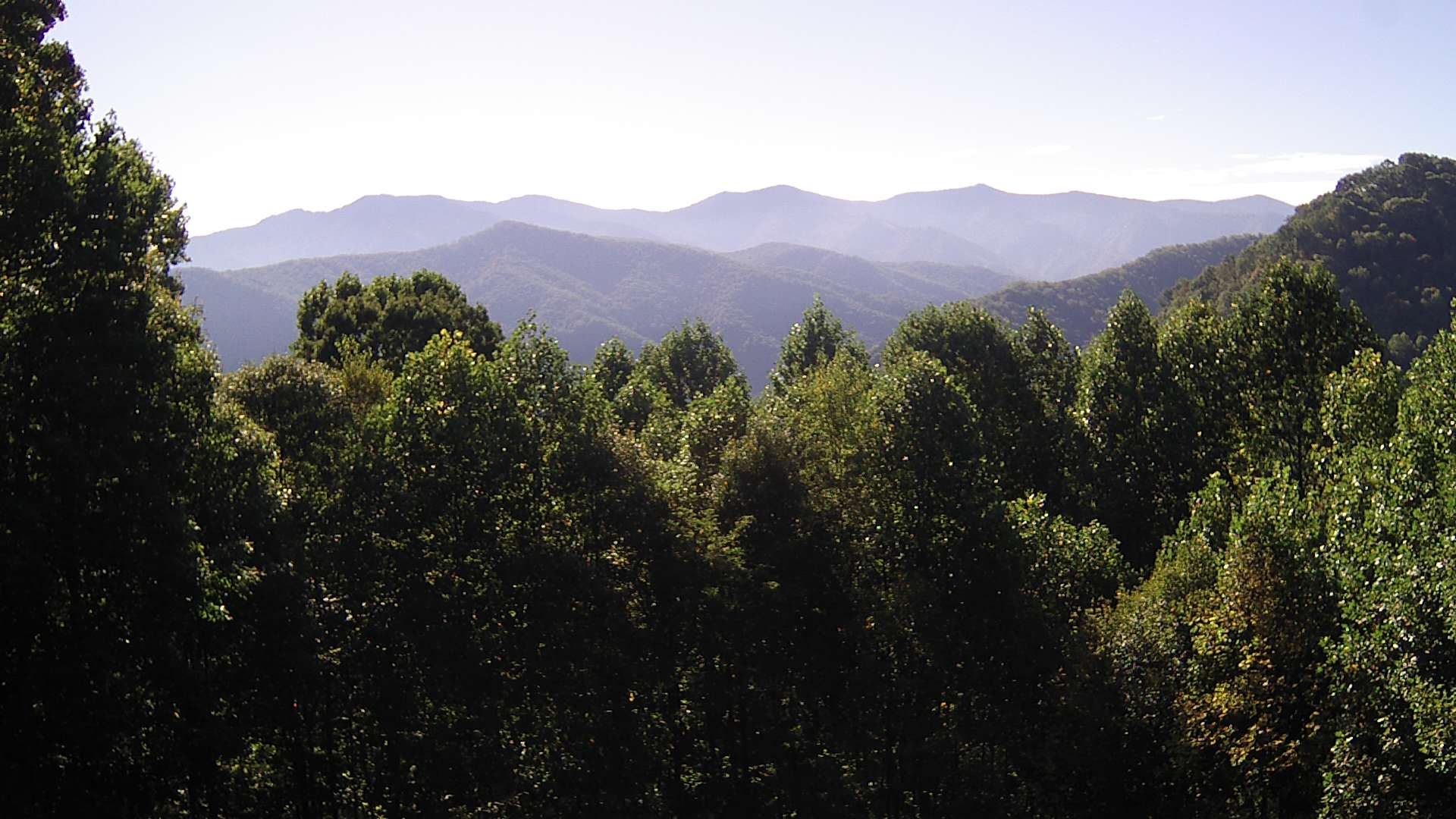 click for next image... slideshow image