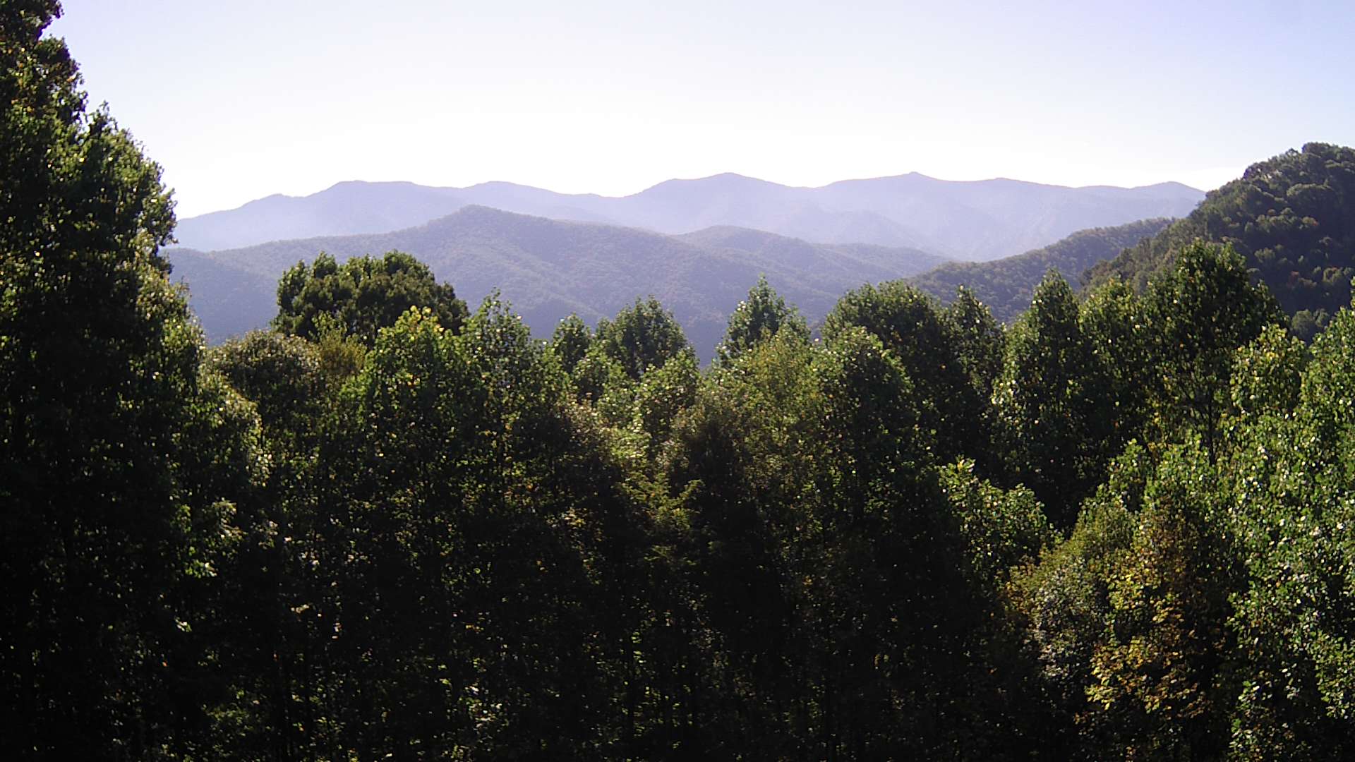 click for next image... slideshow image