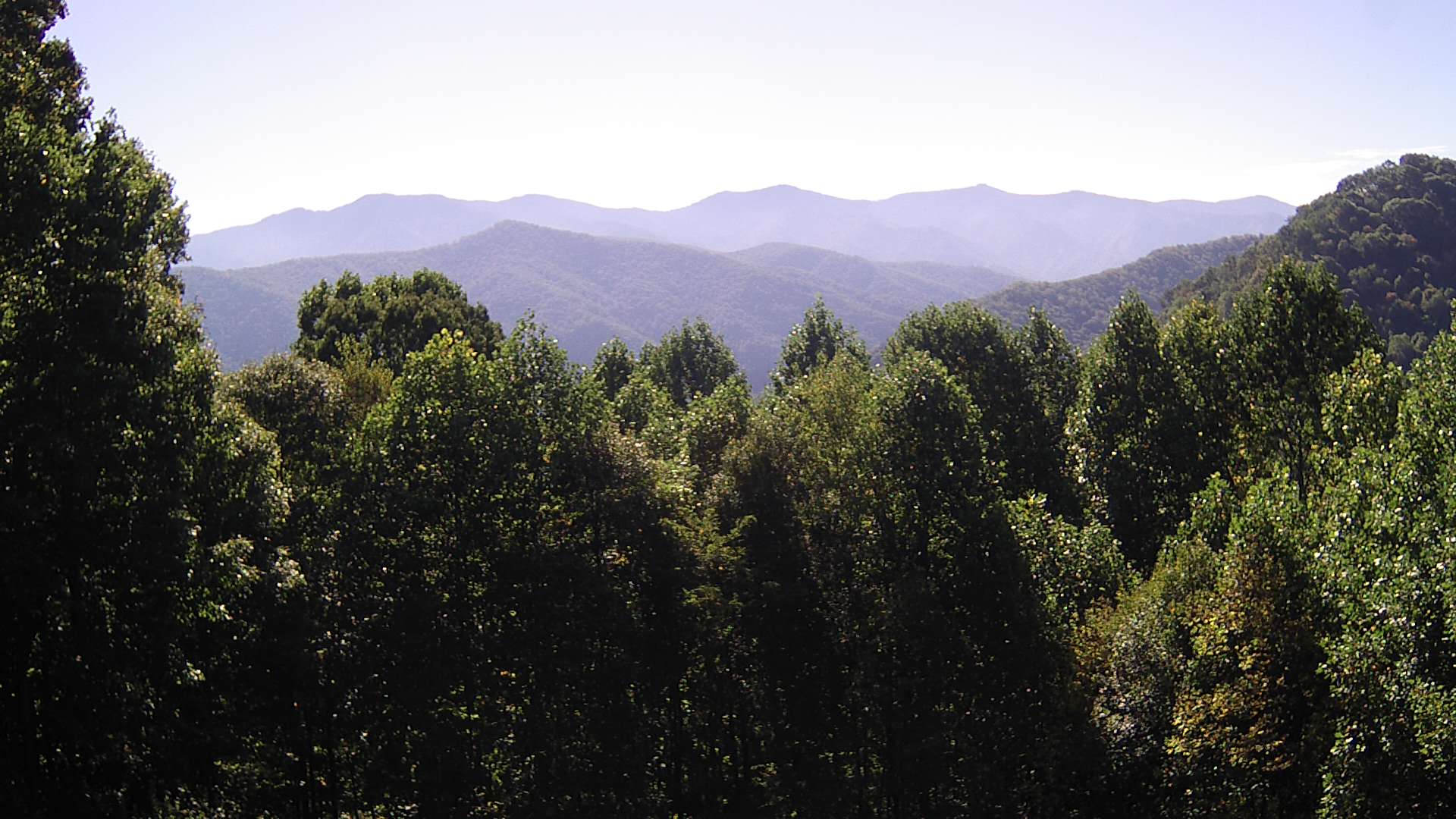 click for next image... slideshow image