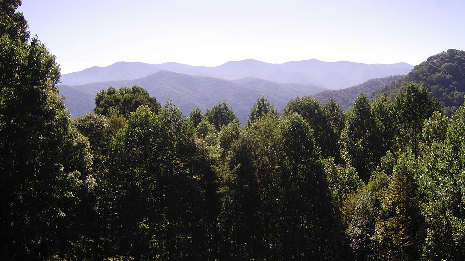 click for next image... slideshow image