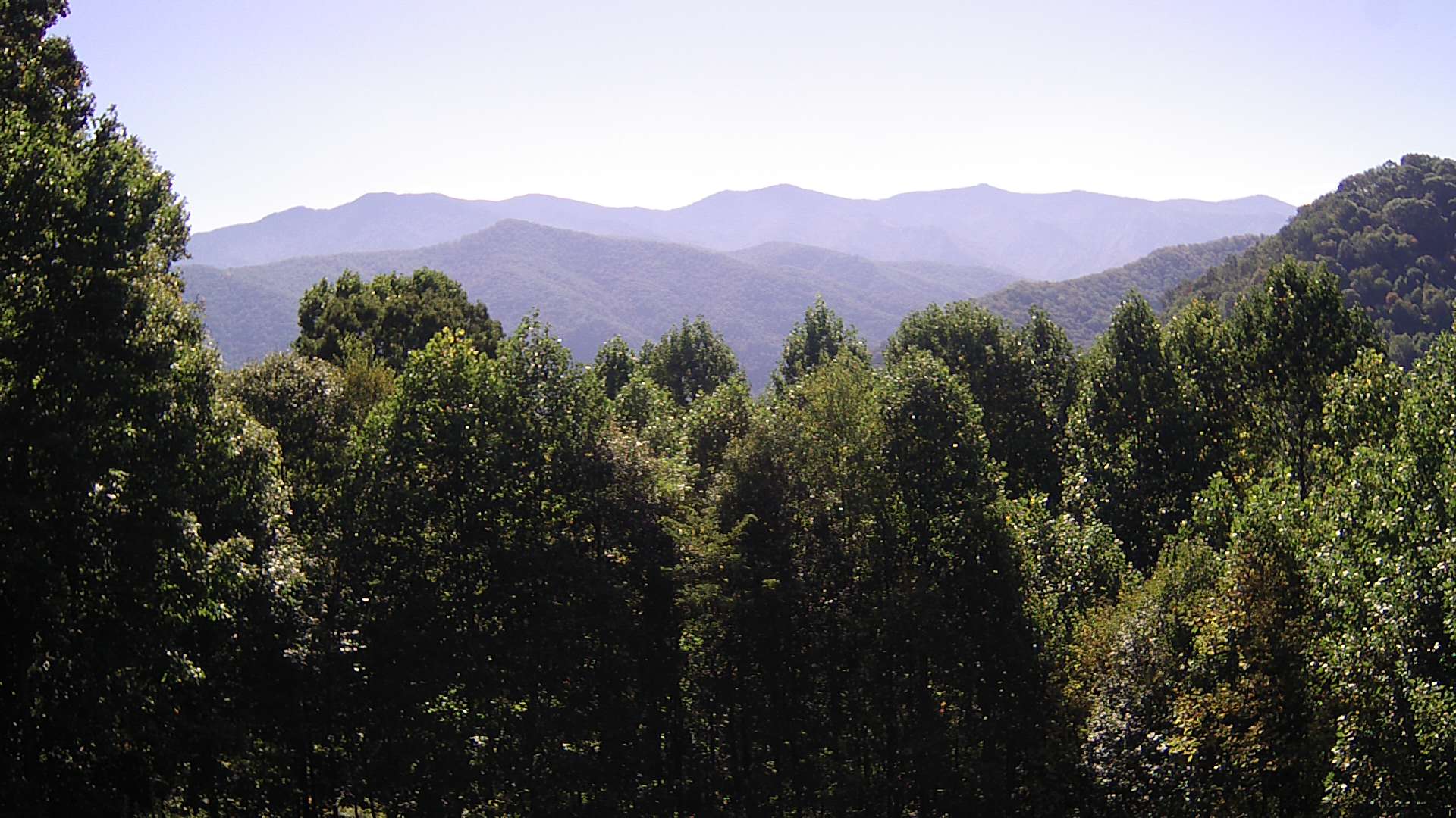 click for next image... slideshow image