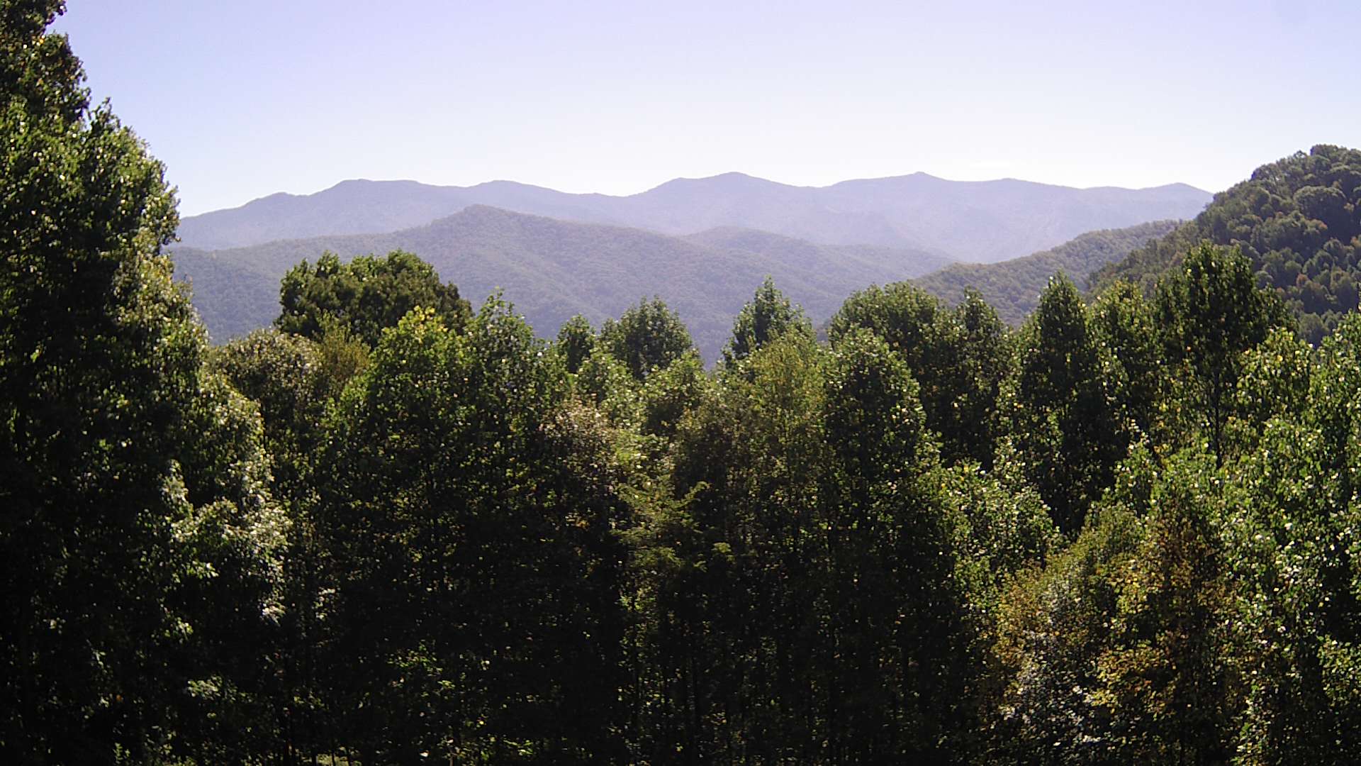 click for next image... slideshow image