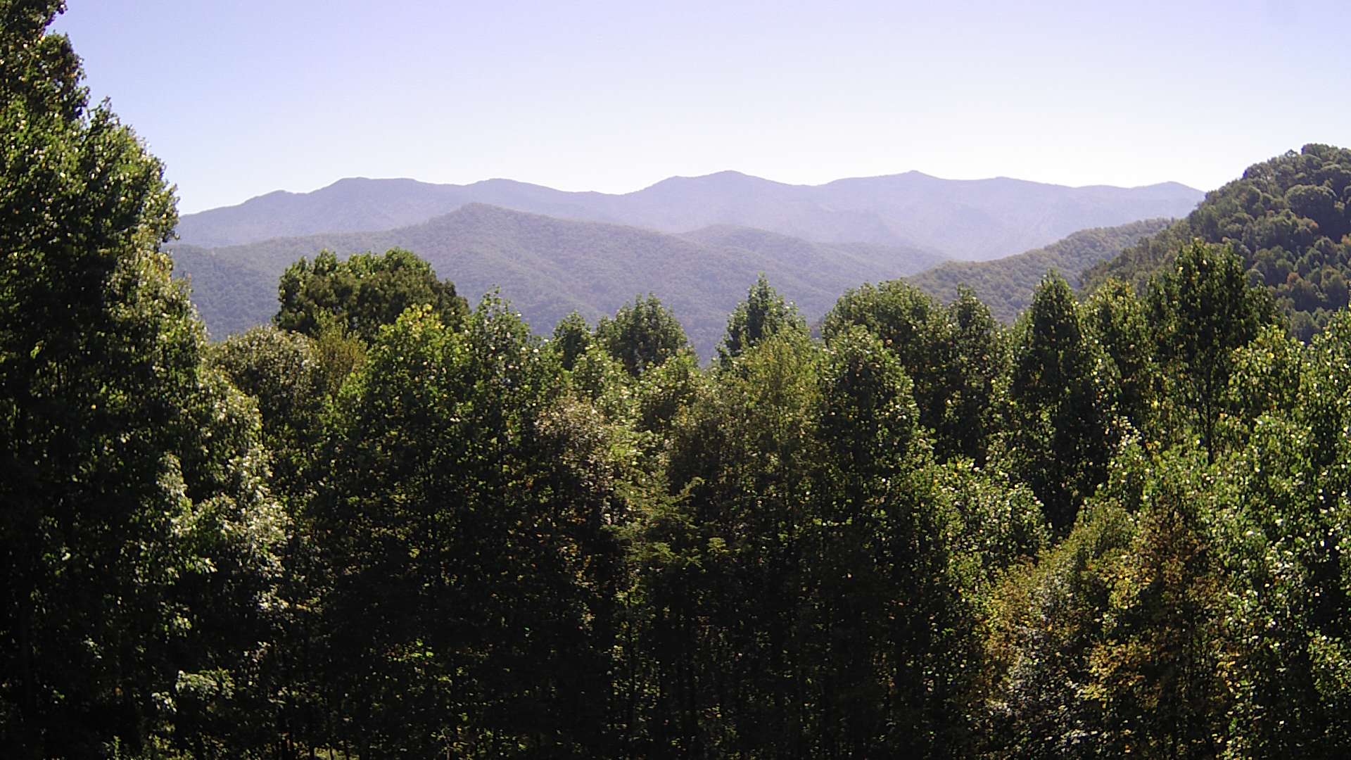 click for next image... slideshow image