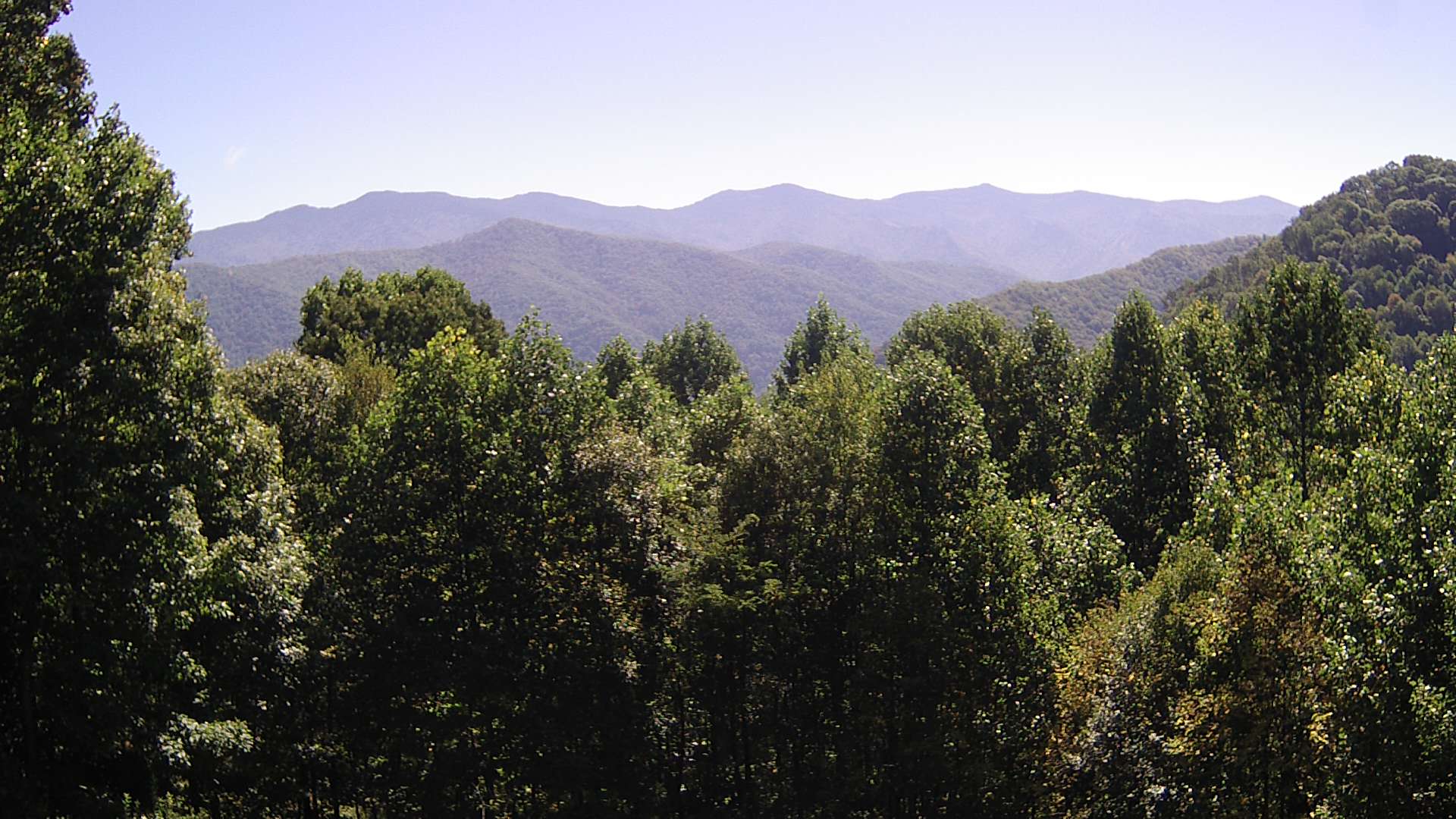 click for next image... slideshow image