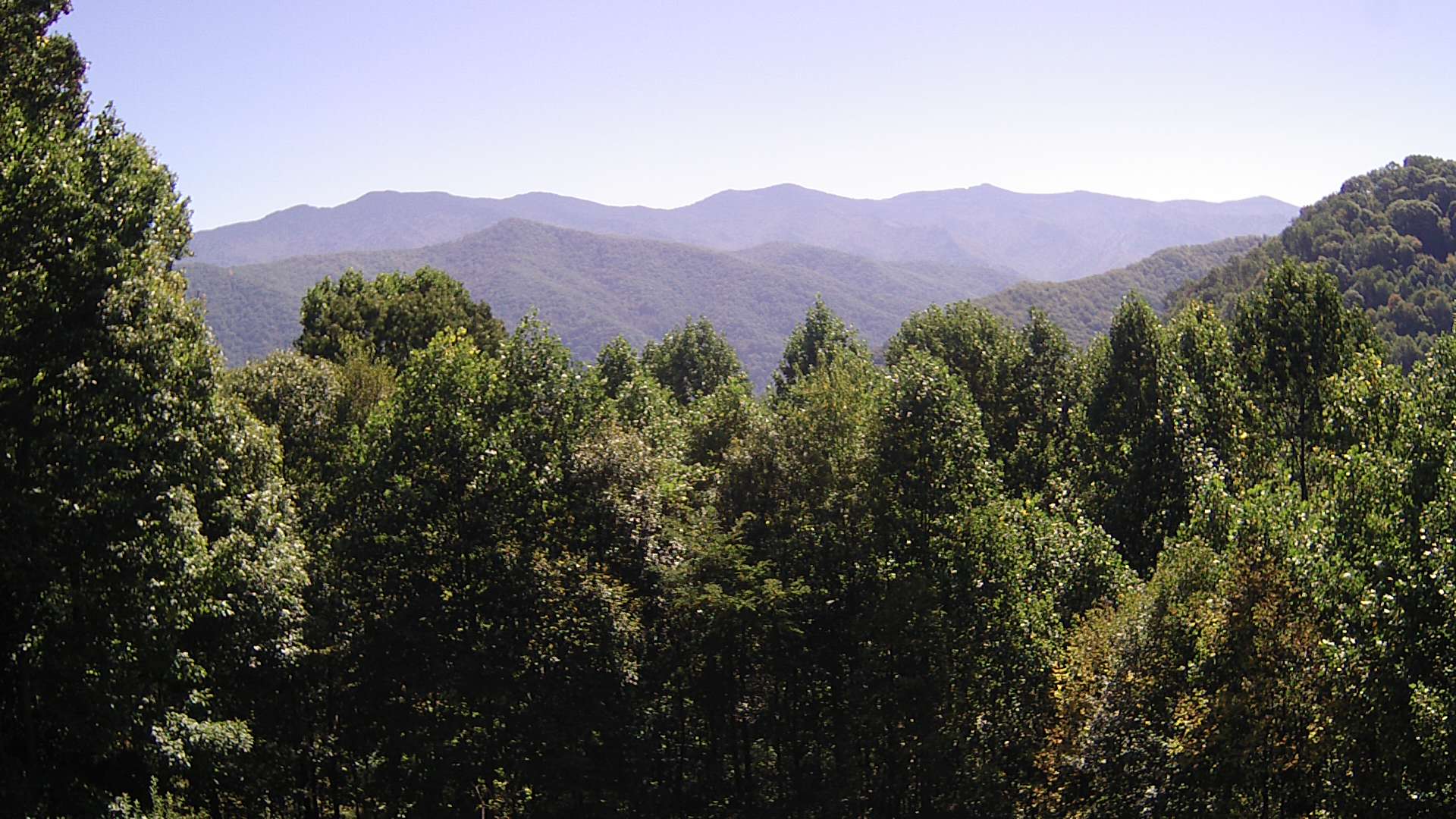 click for next image... slideshow image