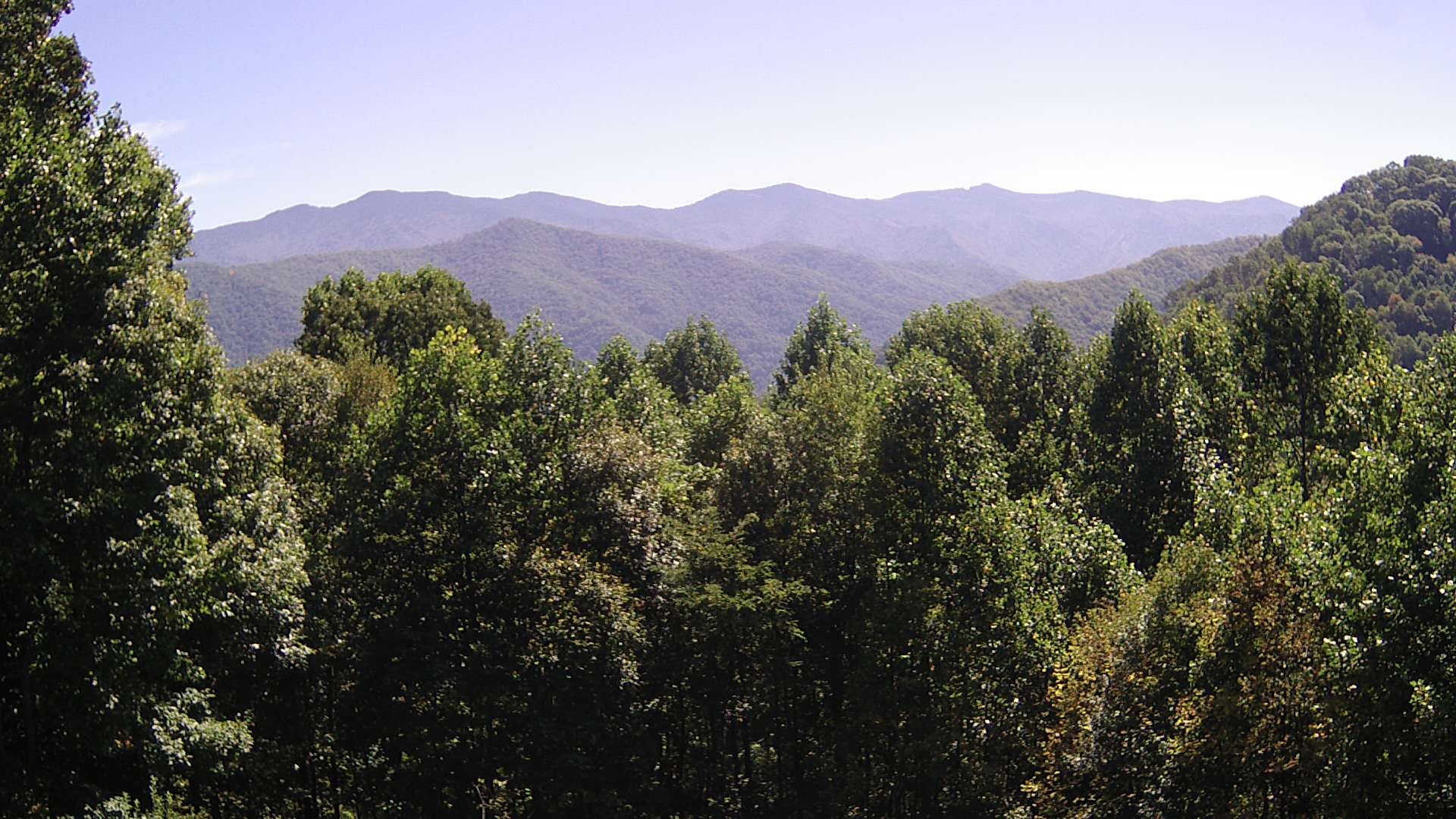 click for next image... slideshow image